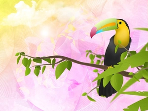 Toucan, twig