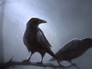 trees, Ravens, Night