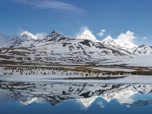 landscape, Mountains, sea, winter