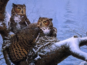 winter, Owls, trees