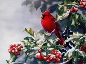 winter, cardinal, Twigs