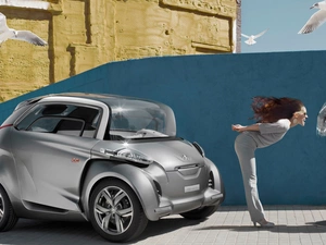 Peugeot, Windmill, gulls, Women