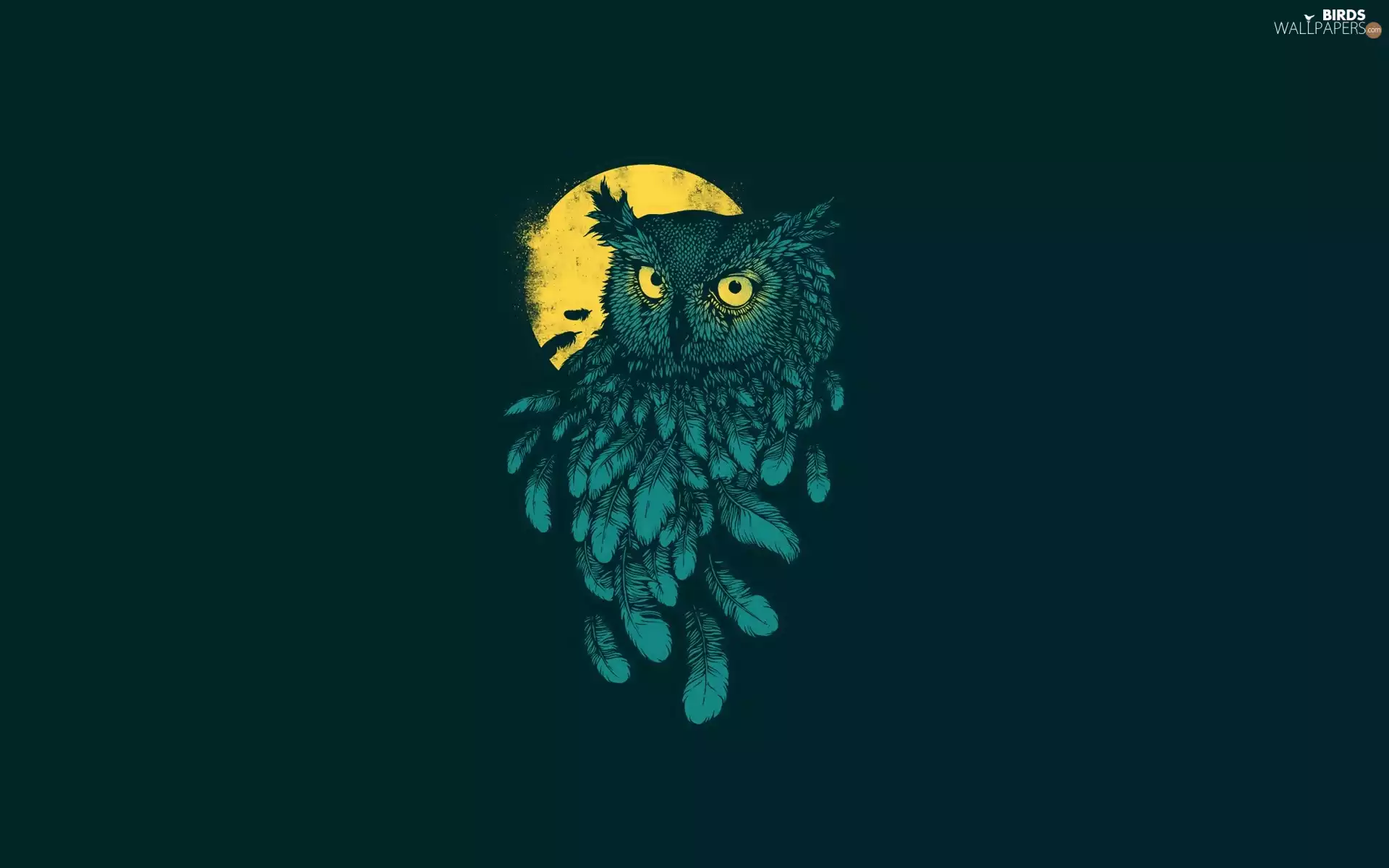 2D, owl, moon