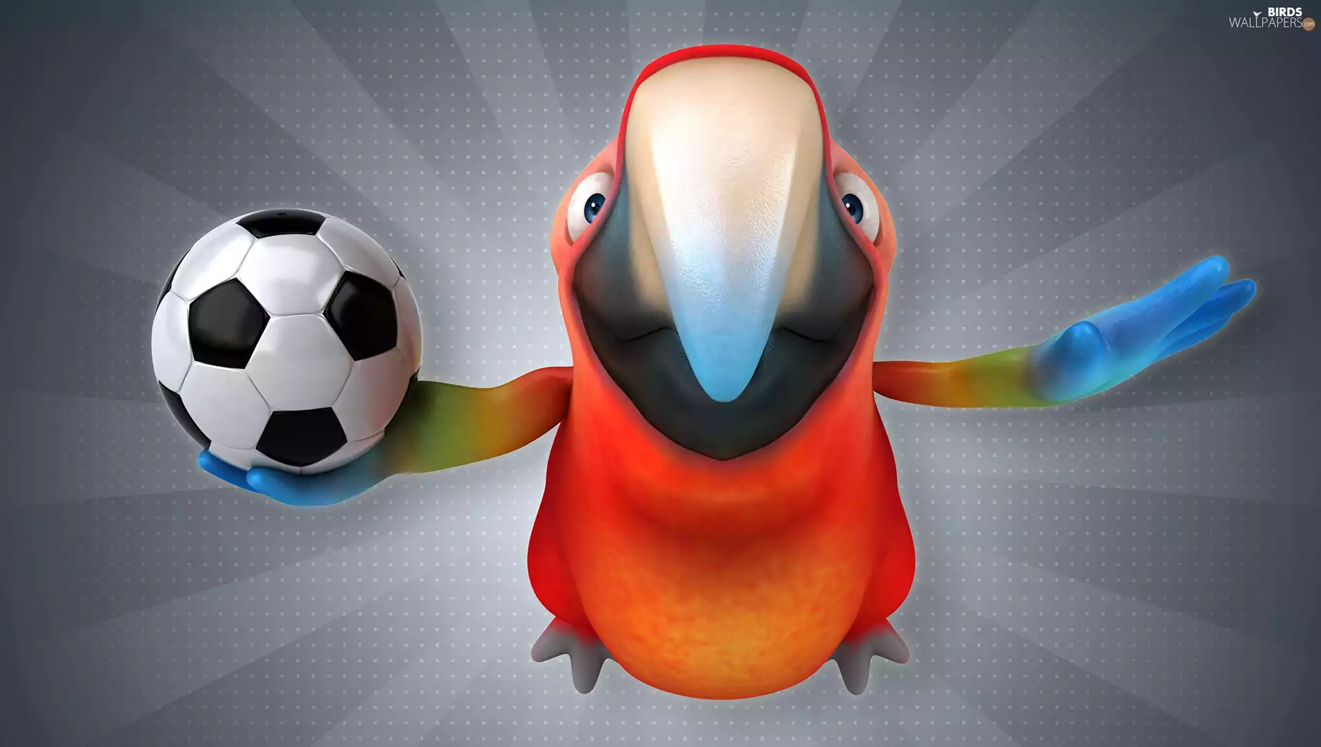 Ball, 3D Graphics, Ara Parrot