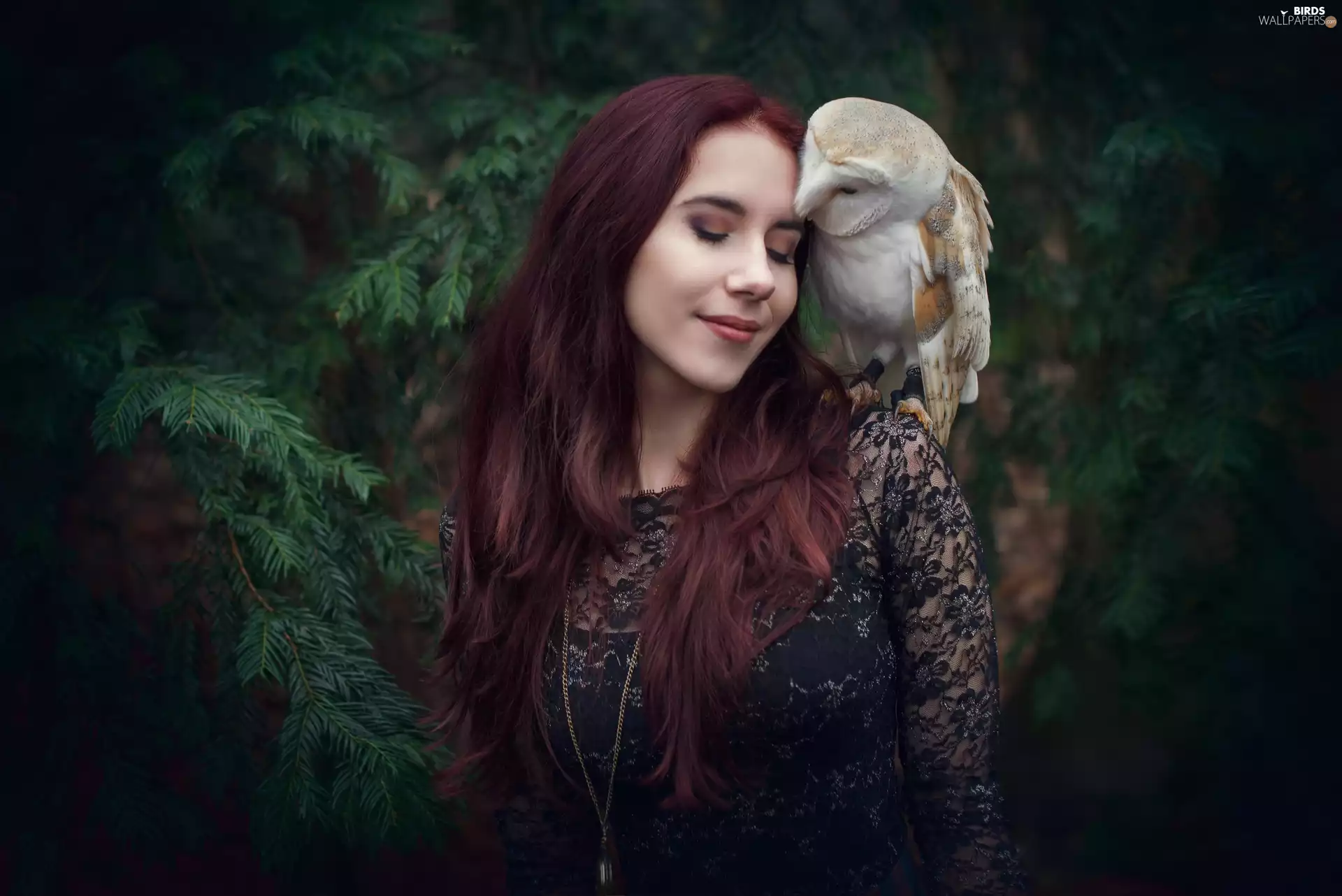 trees, viewes, owl, Barn Owl, girl