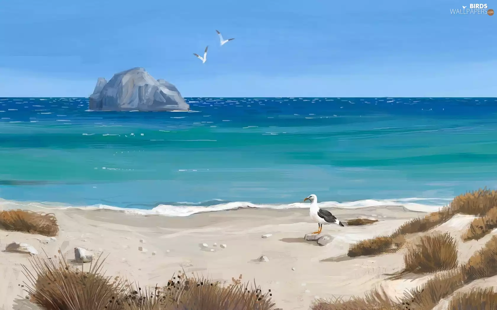 sea, Dunes, gulls, Beaches