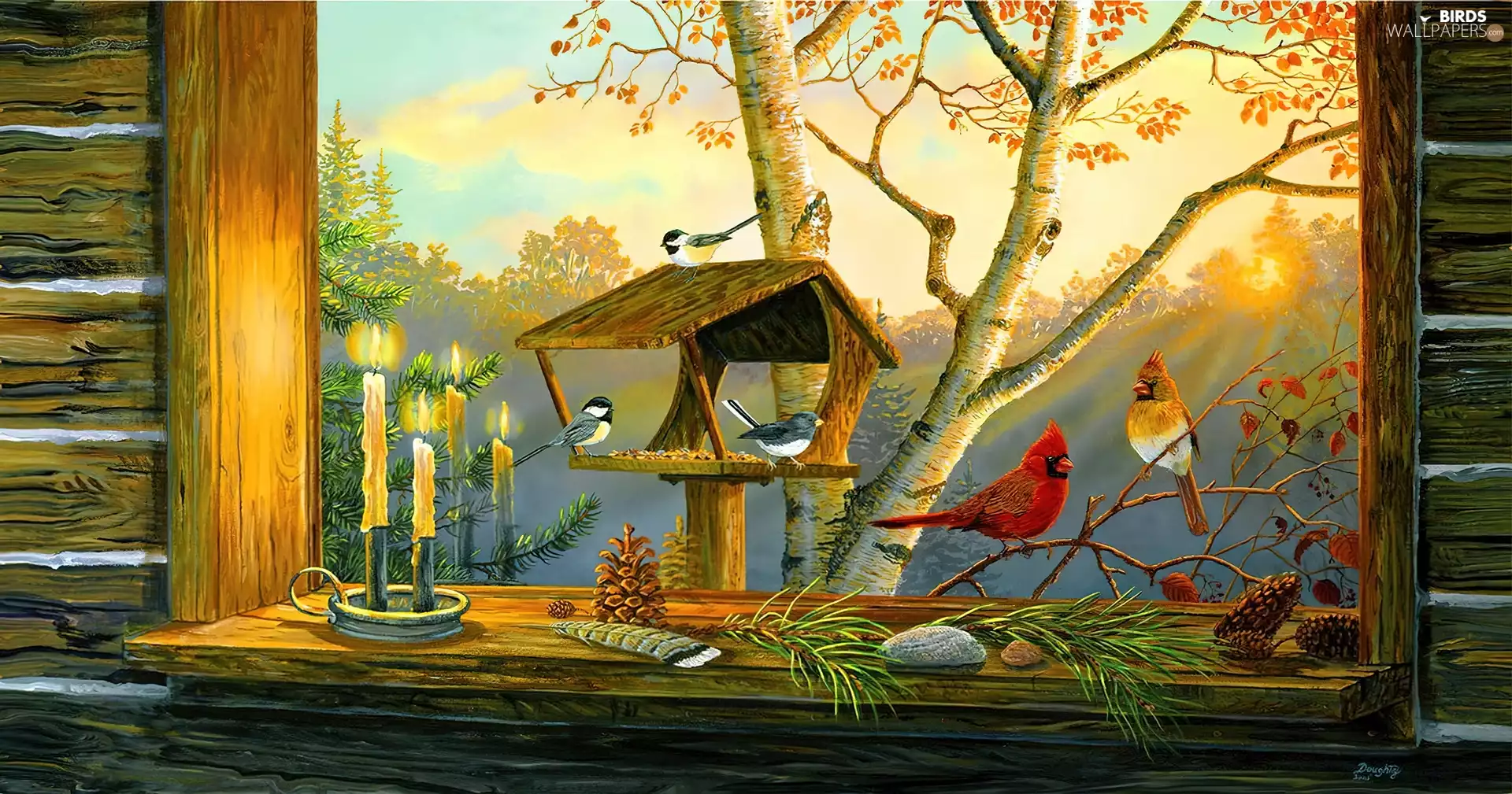 Cardinals, Bird, Candles, birds, Window