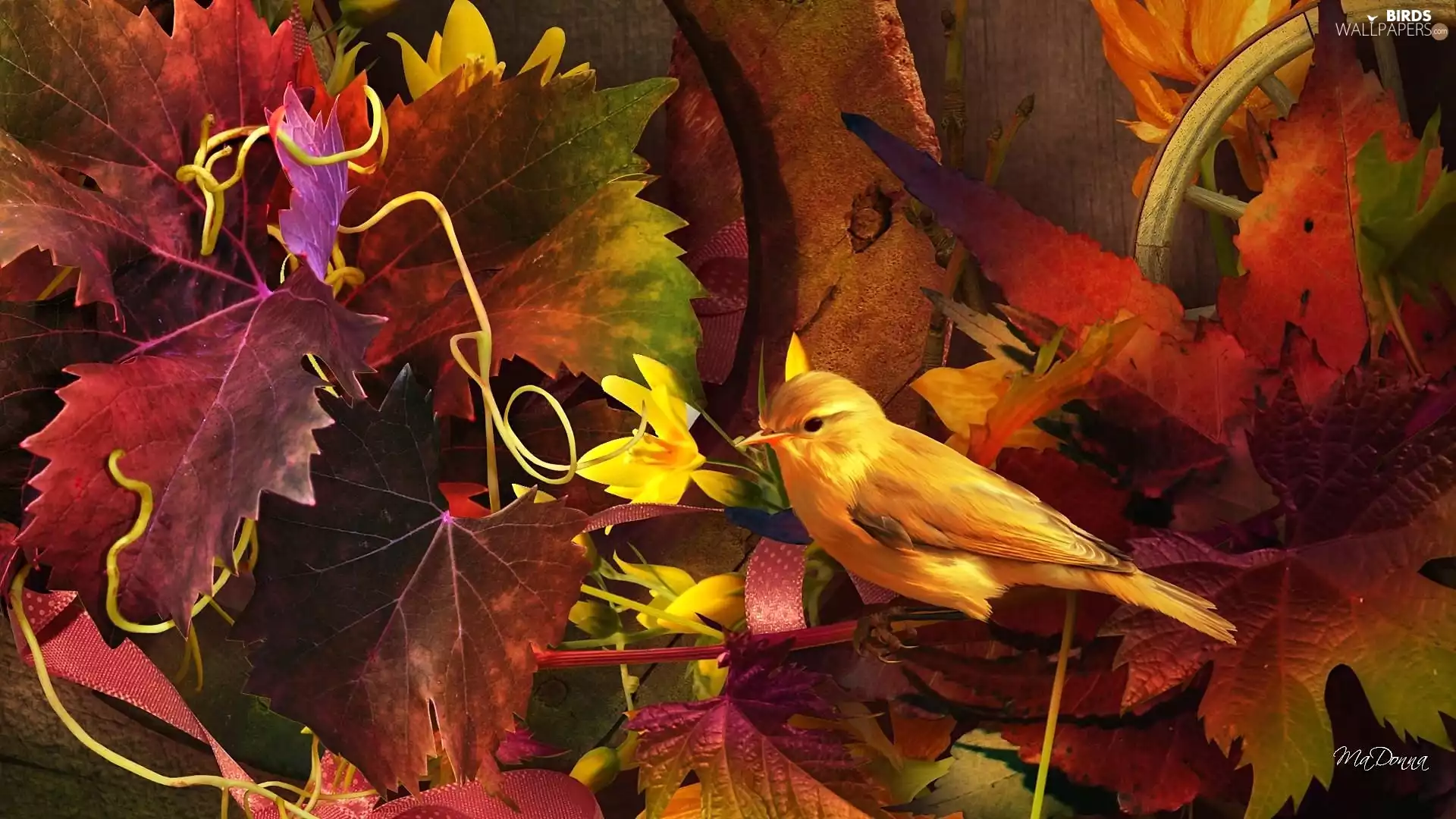 graphics, canary, Leaf, Bird