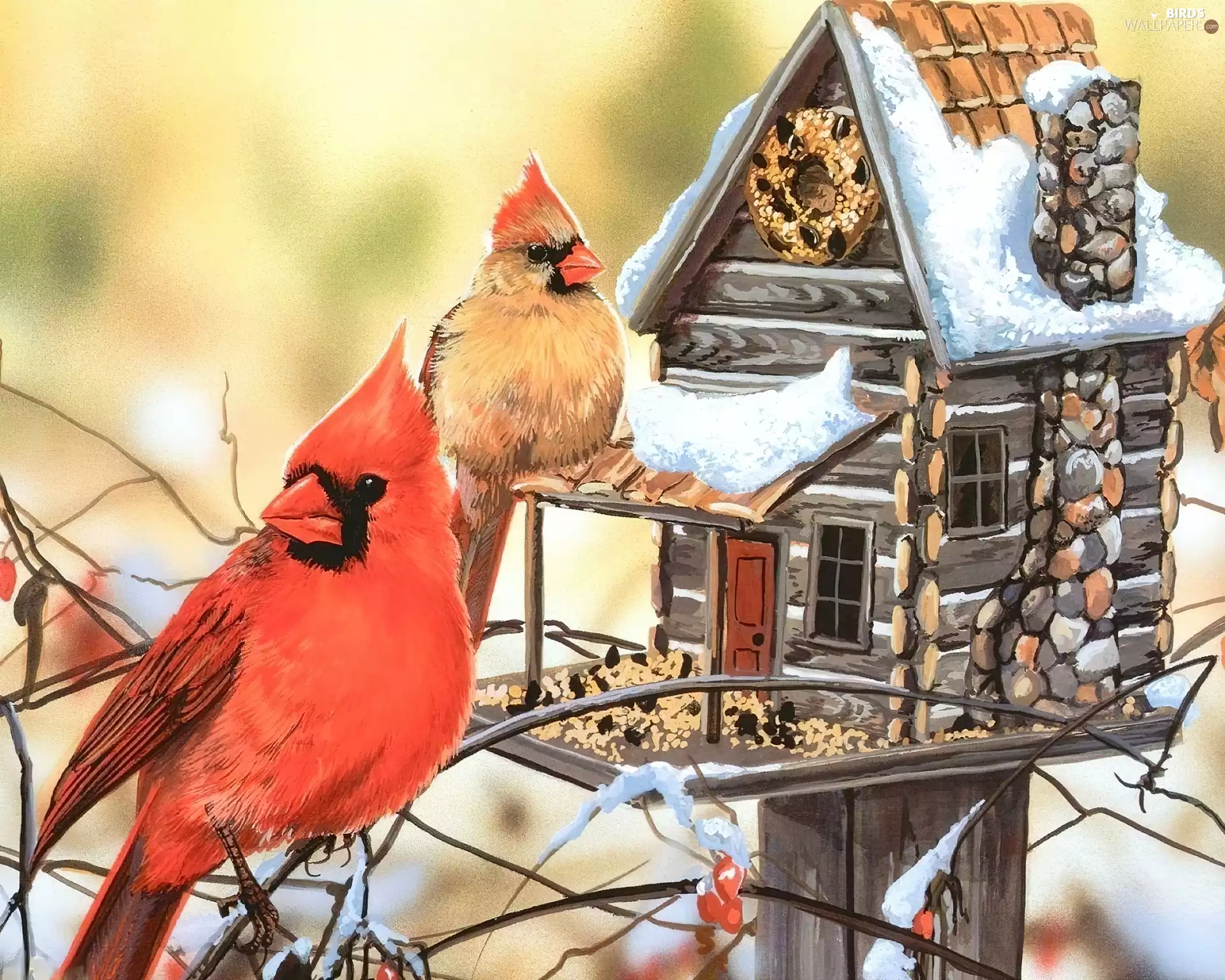 birds, Bird, Poster Image, Cardinals