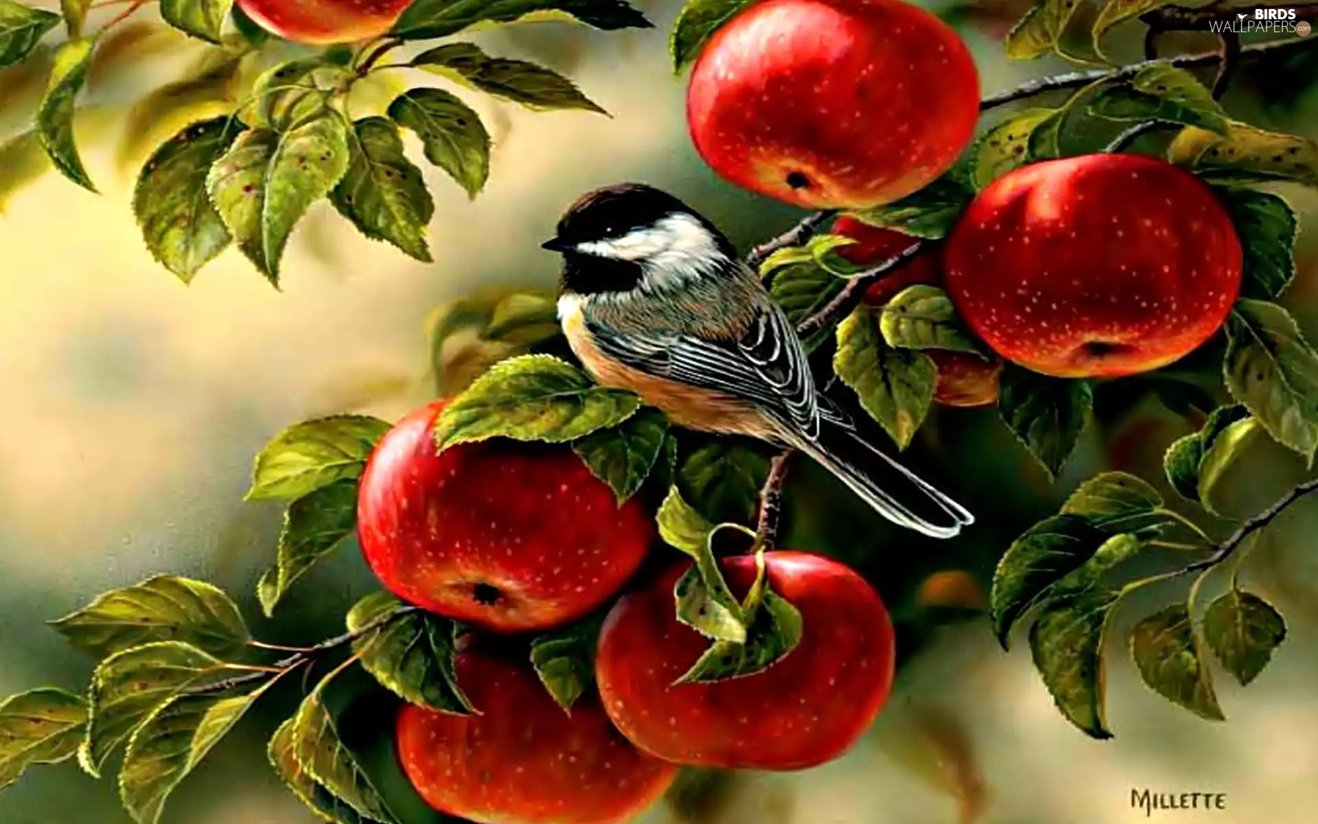 apples, leaves, Art, birdies