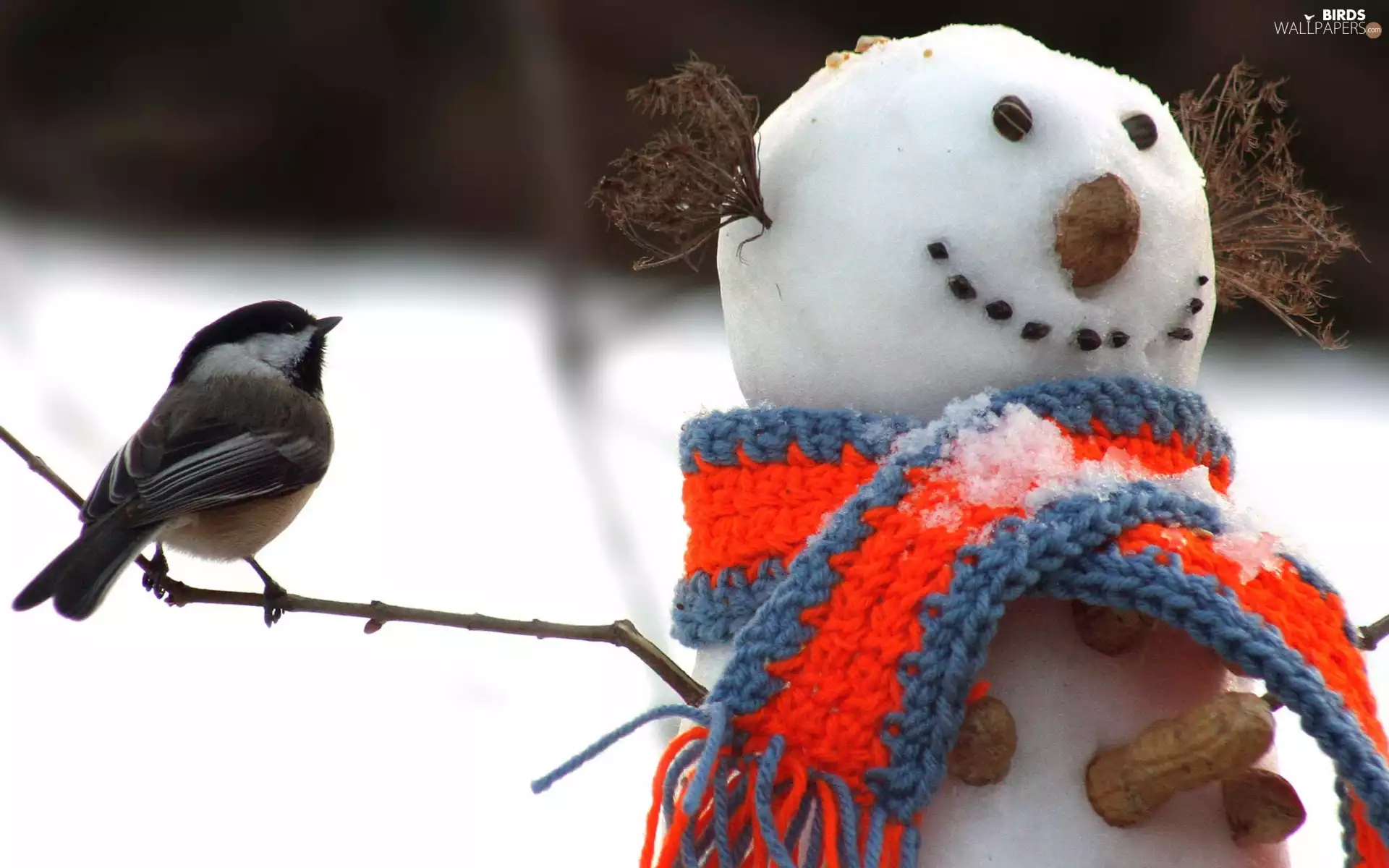 birdies, Snowman, Scarf
