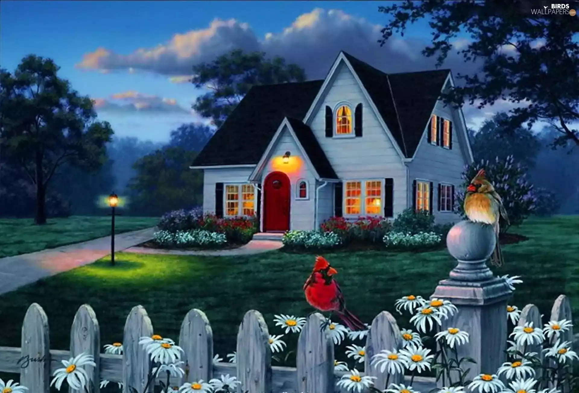 Fance, Cardinals, house, birds