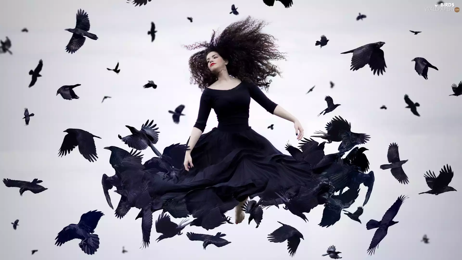 Women, Dress, Ravens, black