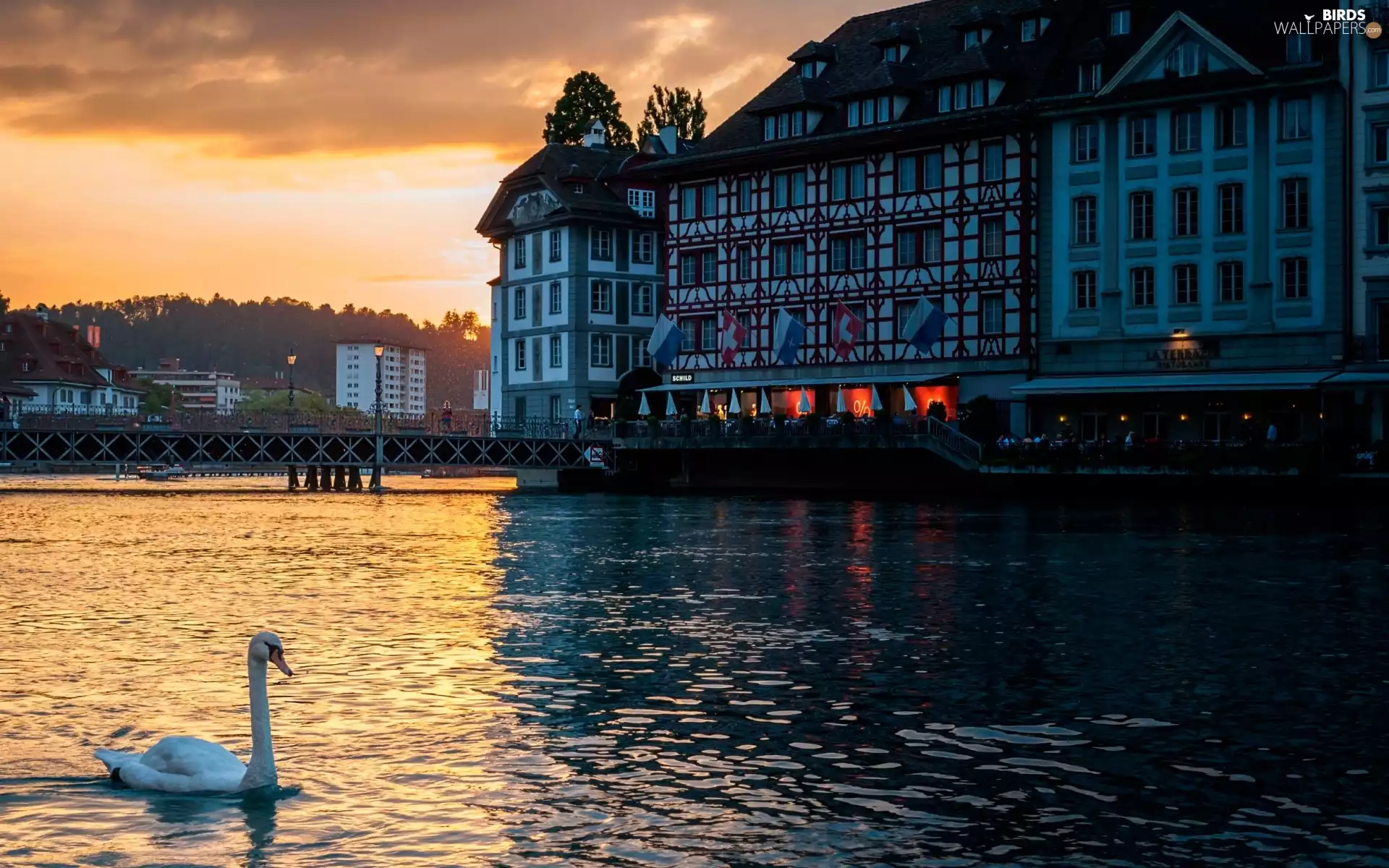 Restaurant, Swans, west, bridge, River, Town, sun