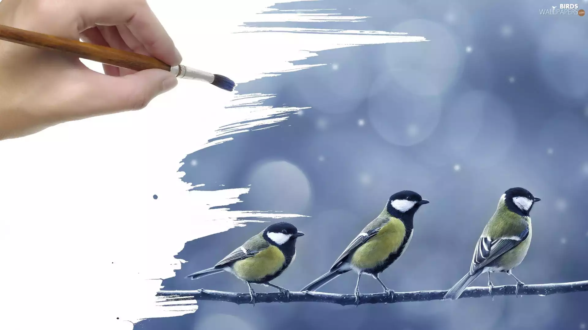 Chickadees, painting, Drawing, brush