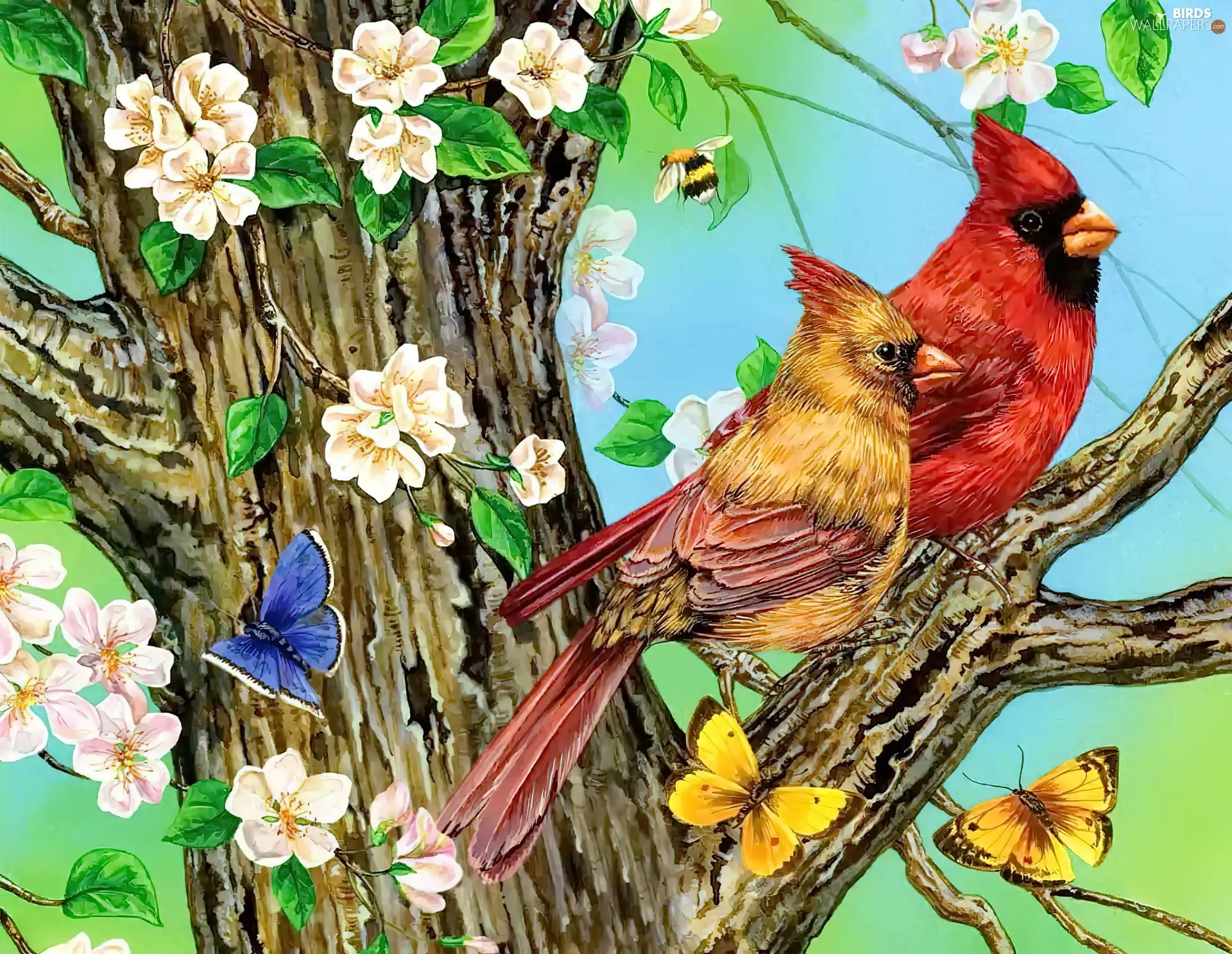 trees, Cardinals, Flowers, butterflies, viewes, trunk