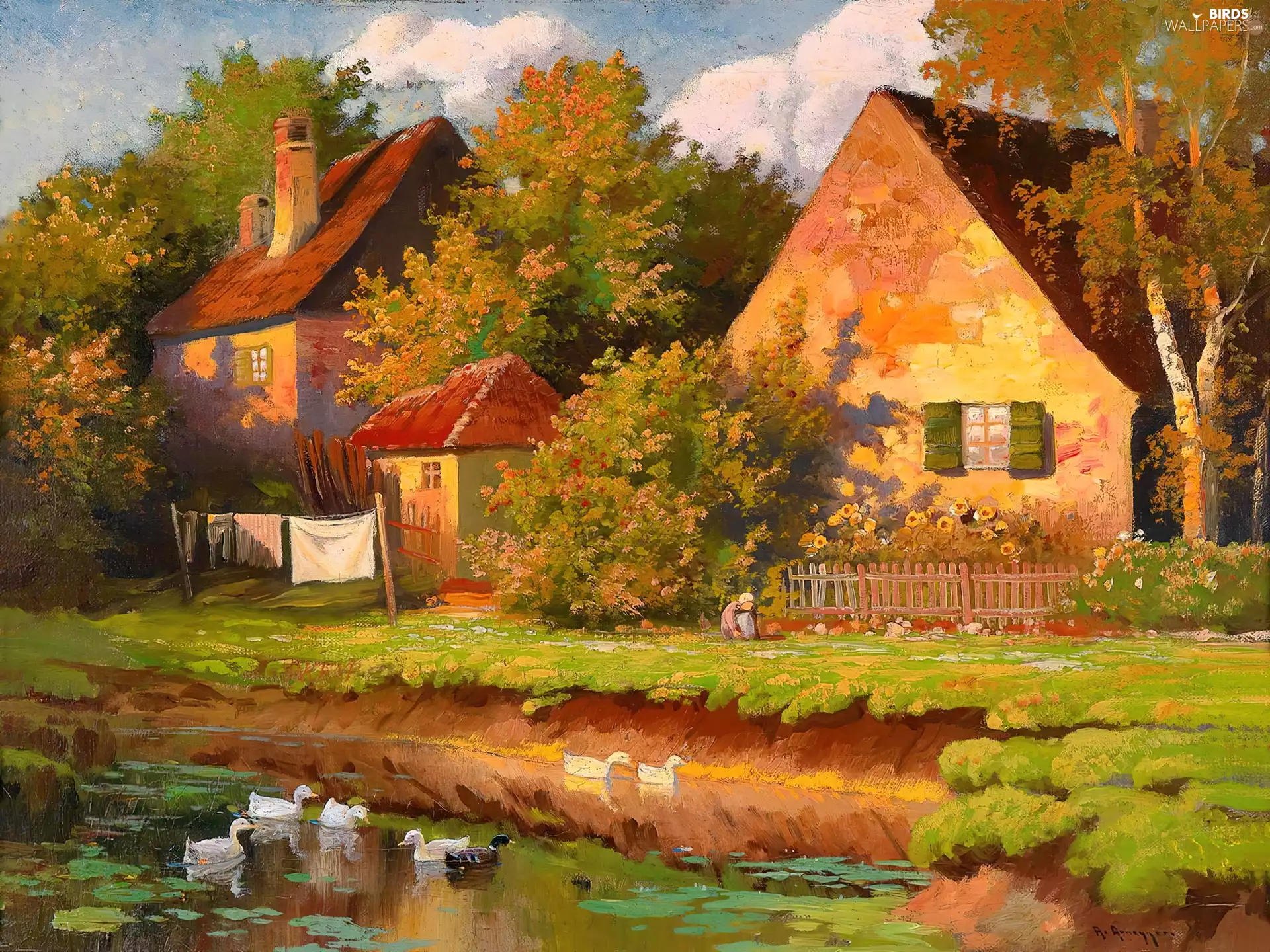 ducks, Houses, Pond - car