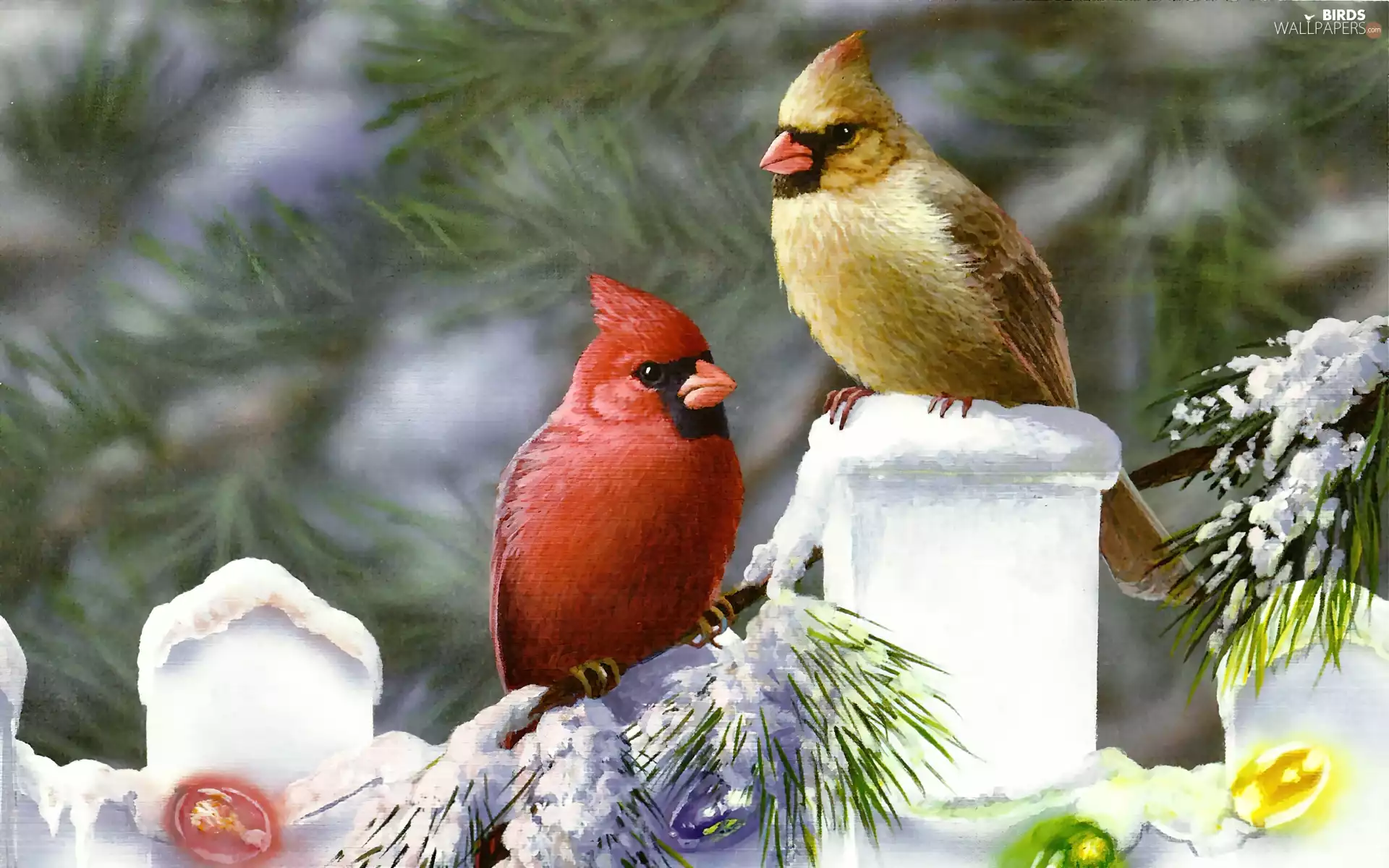 birds, winter, painting, Cardinals