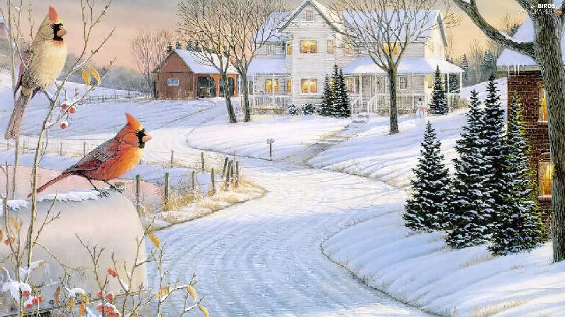 Two cars, Houses, Cardinals, winter, birds, Way