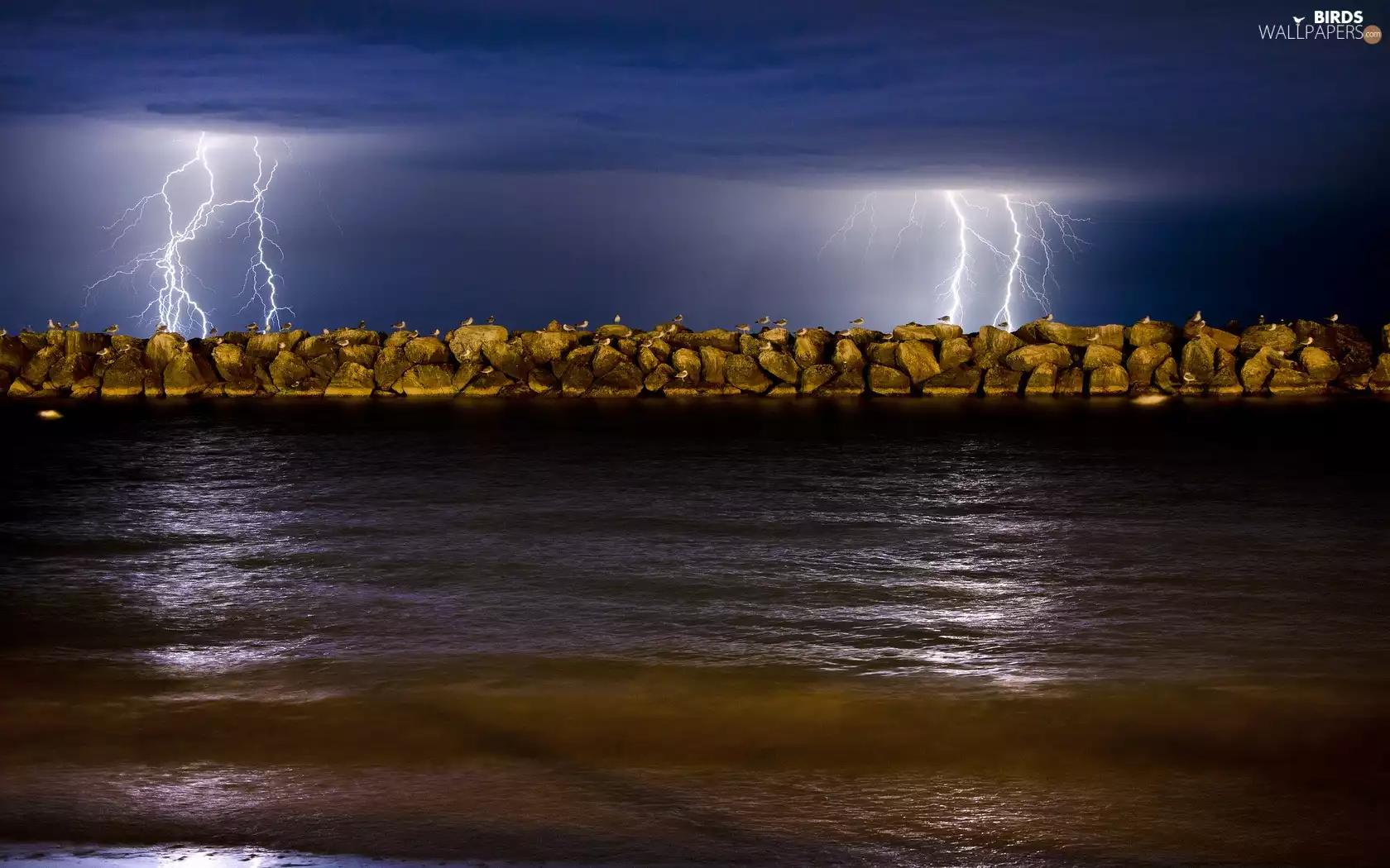 Night, gulls, Lightning, Coast