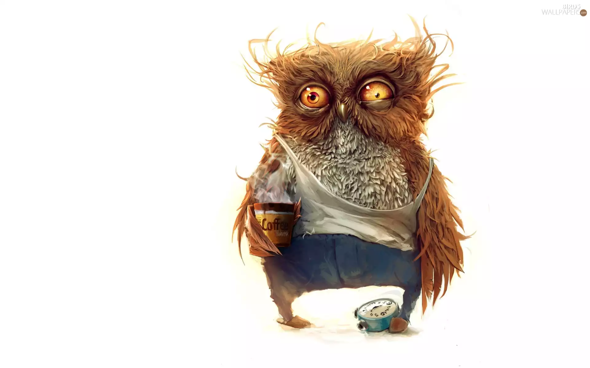 coffee, owl, Slippers
