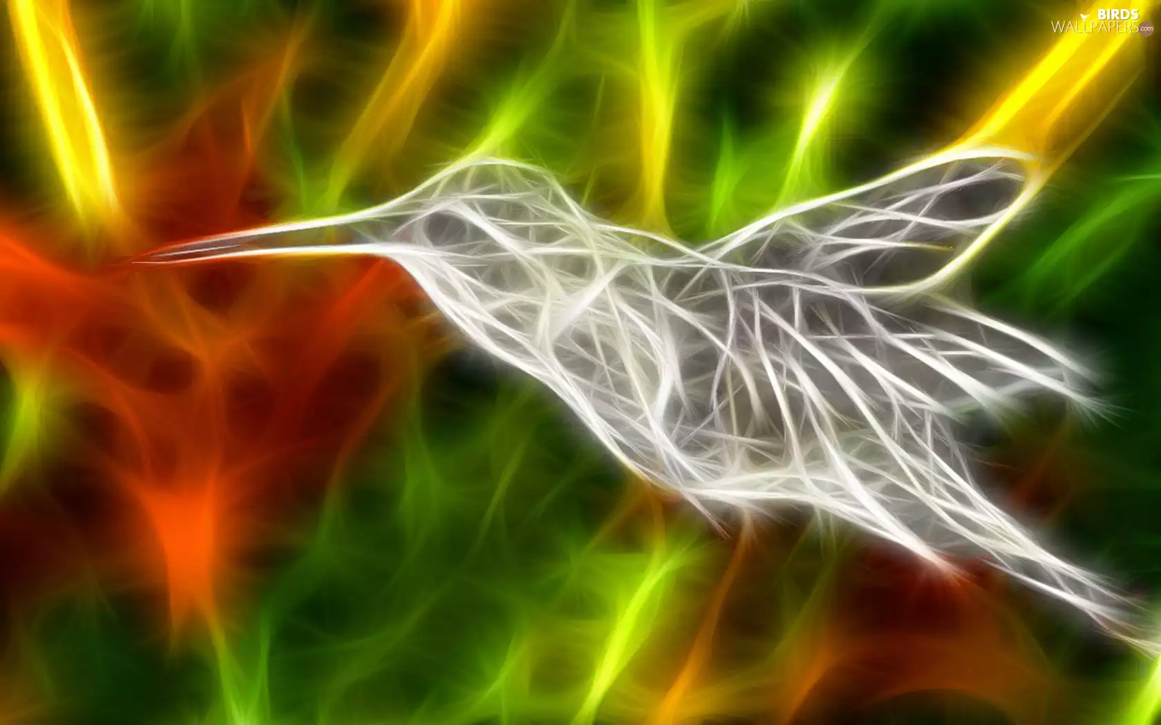 background, humming-bird, color