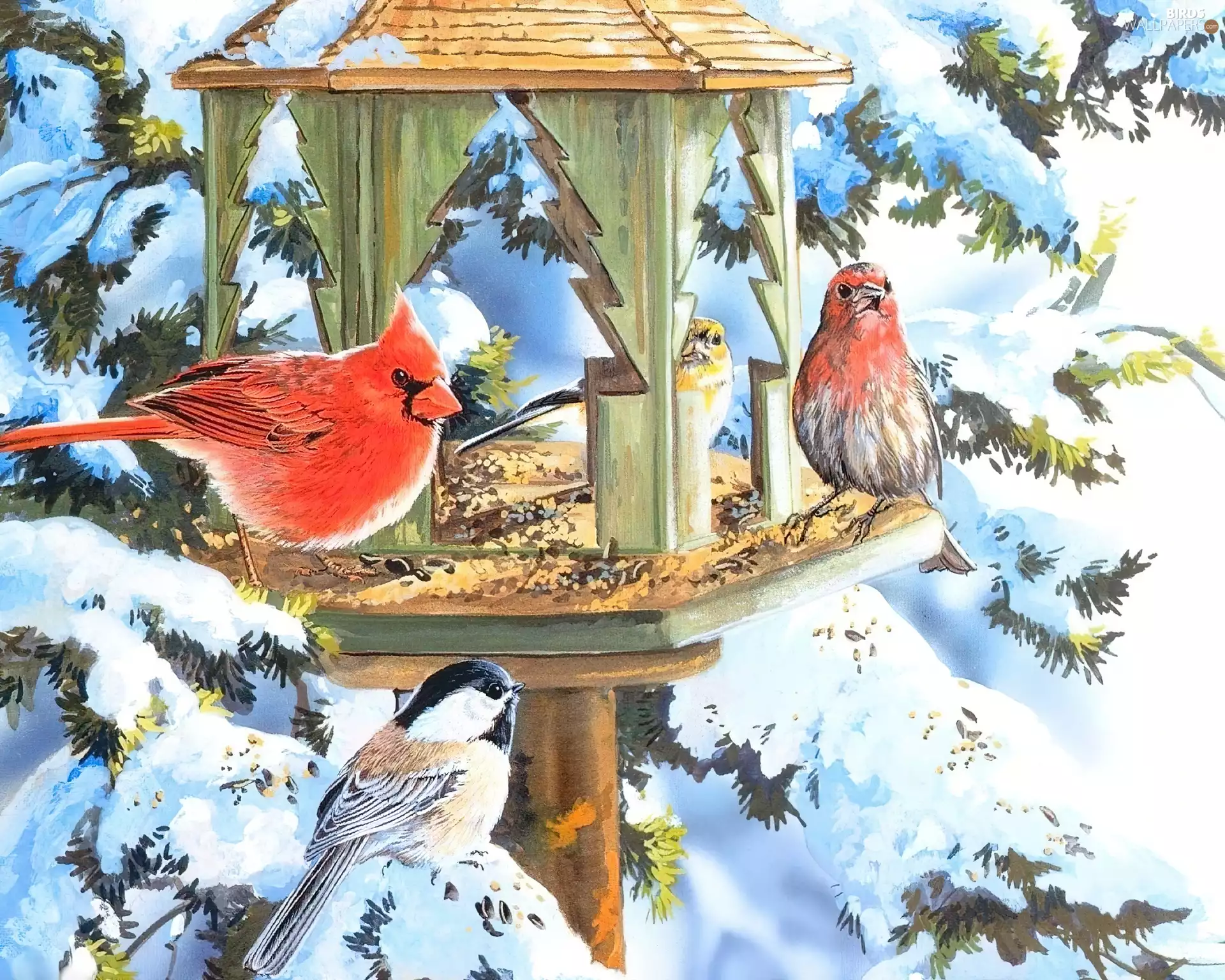birds, winter, tit, conifer, cardinal, Bird