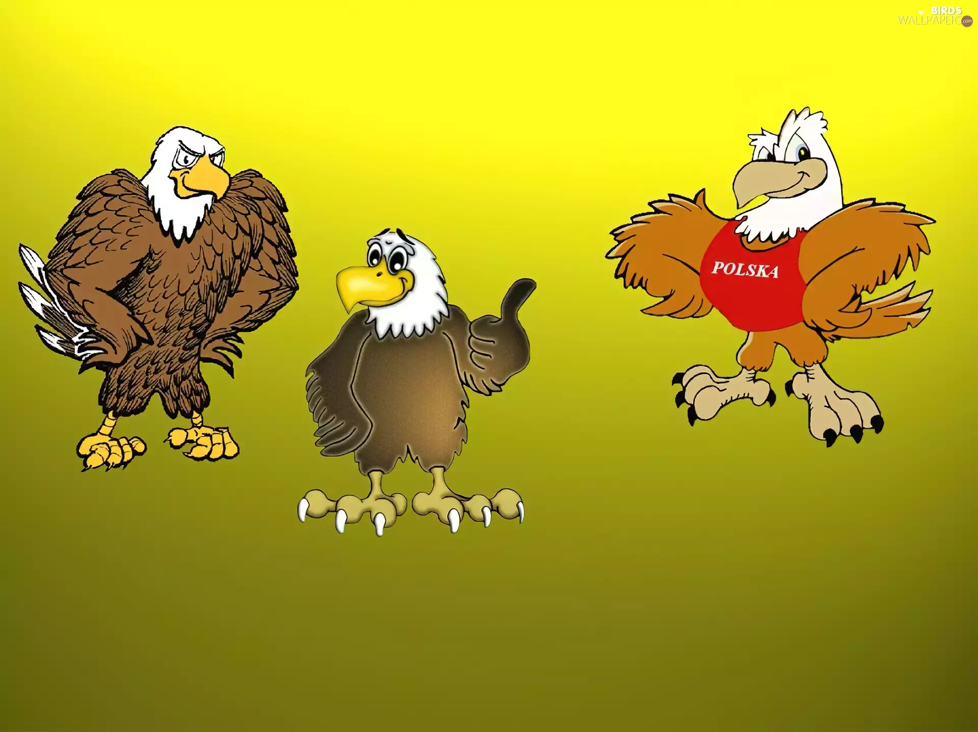 Drawing, Three, Eagles