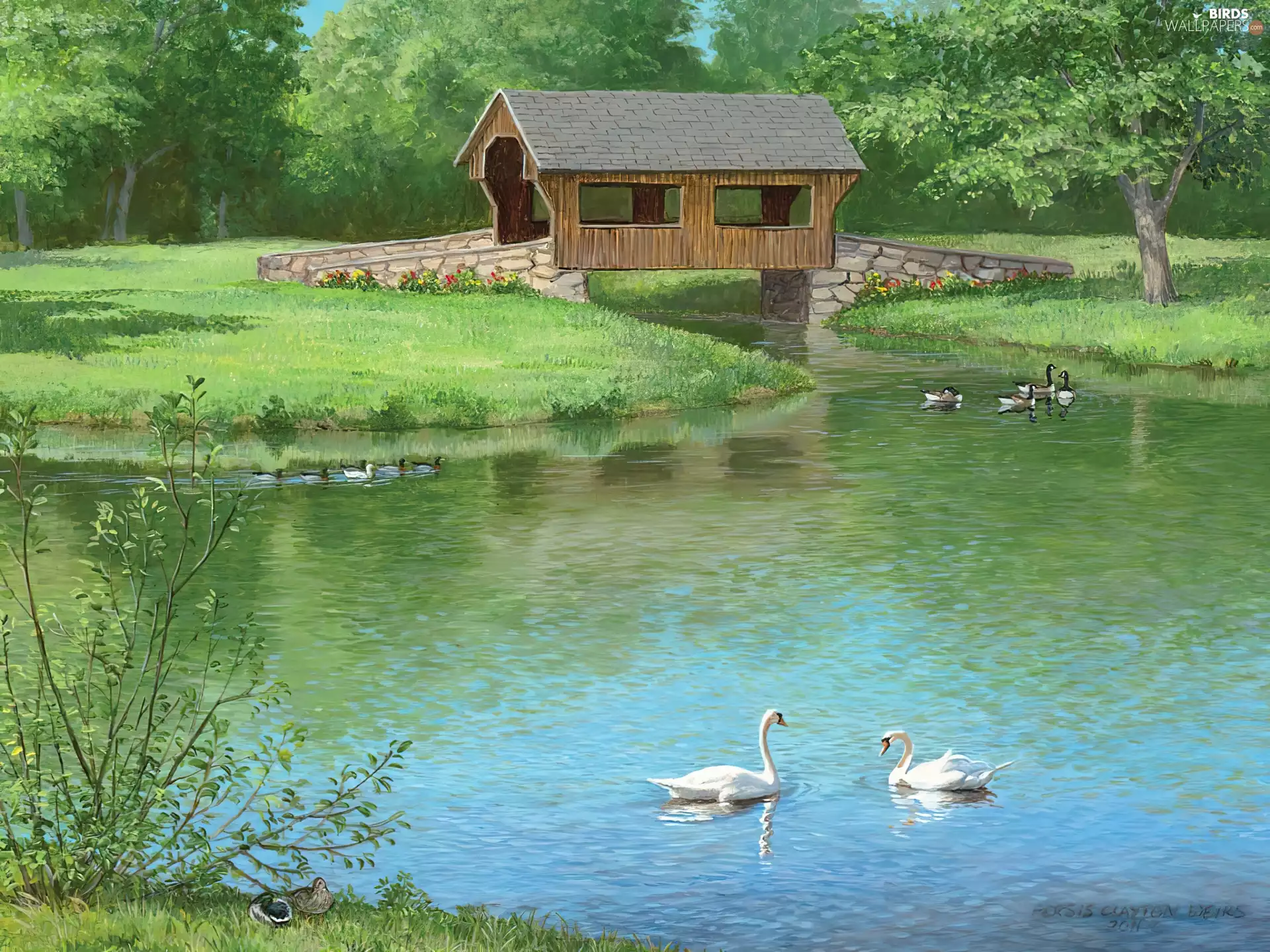 Swan, ducks, bridge, Indoor, lake