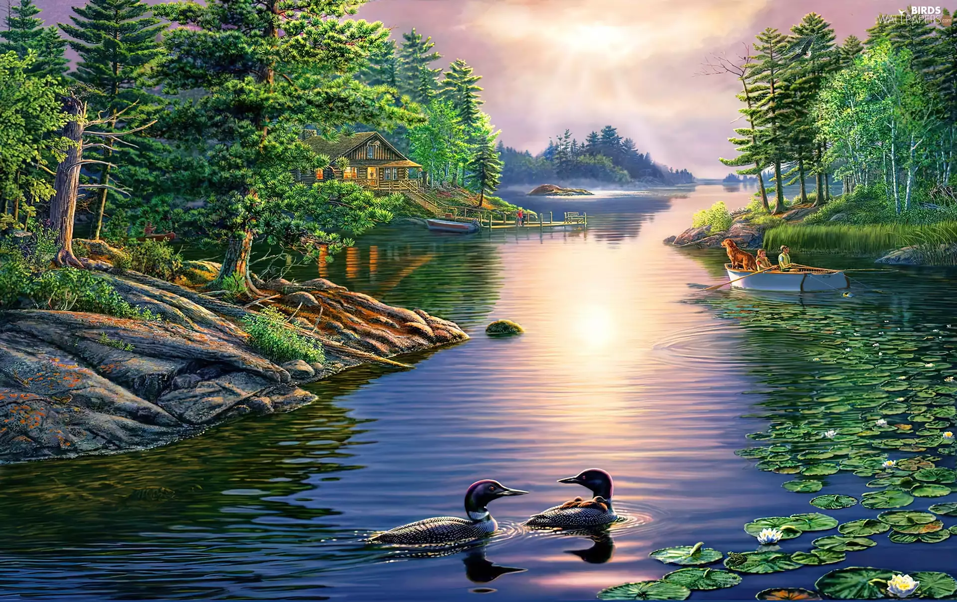 lake, trees, viewes, ducks