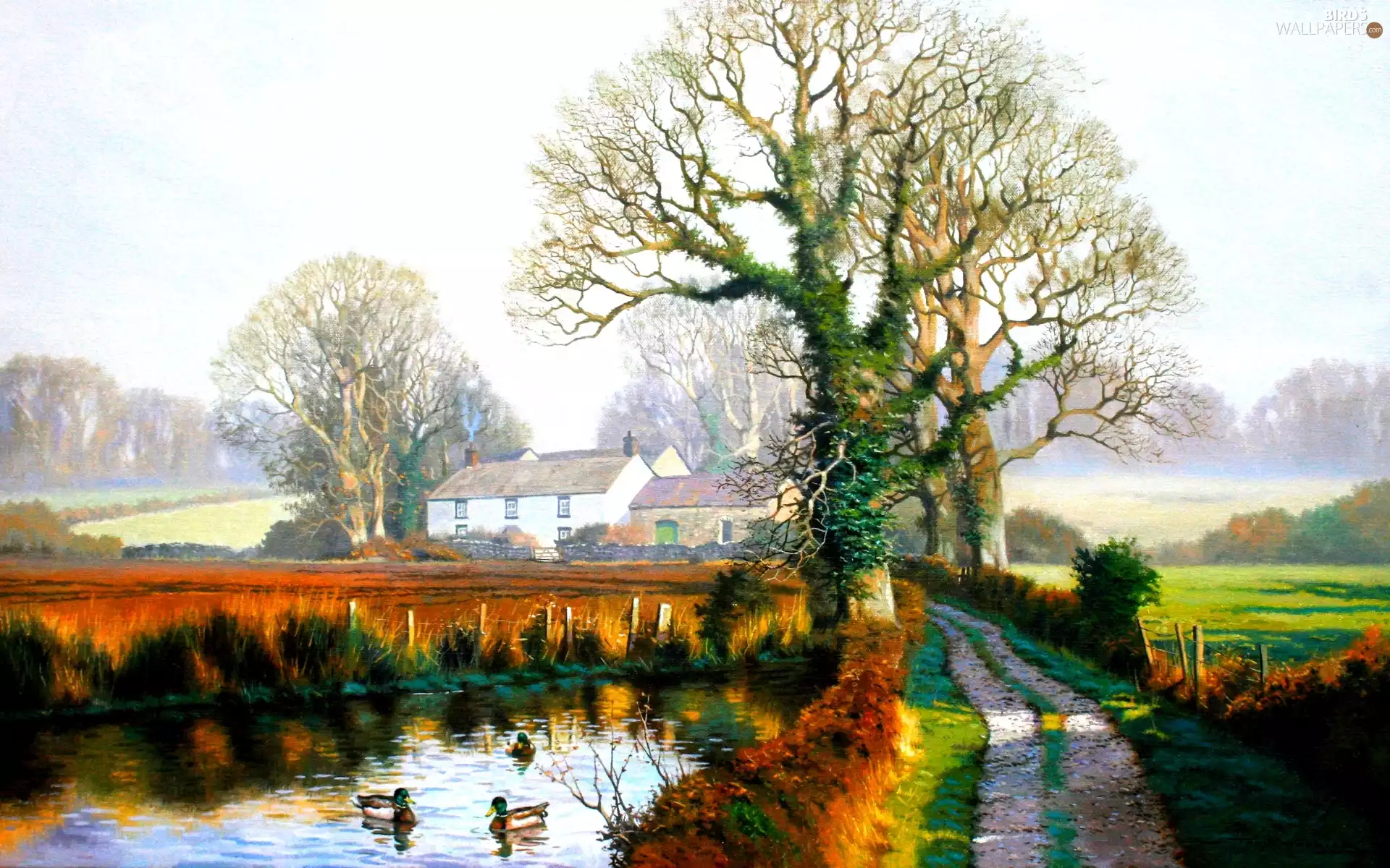 viewes, village, Pond - car, trees, Way, Houses, ducks