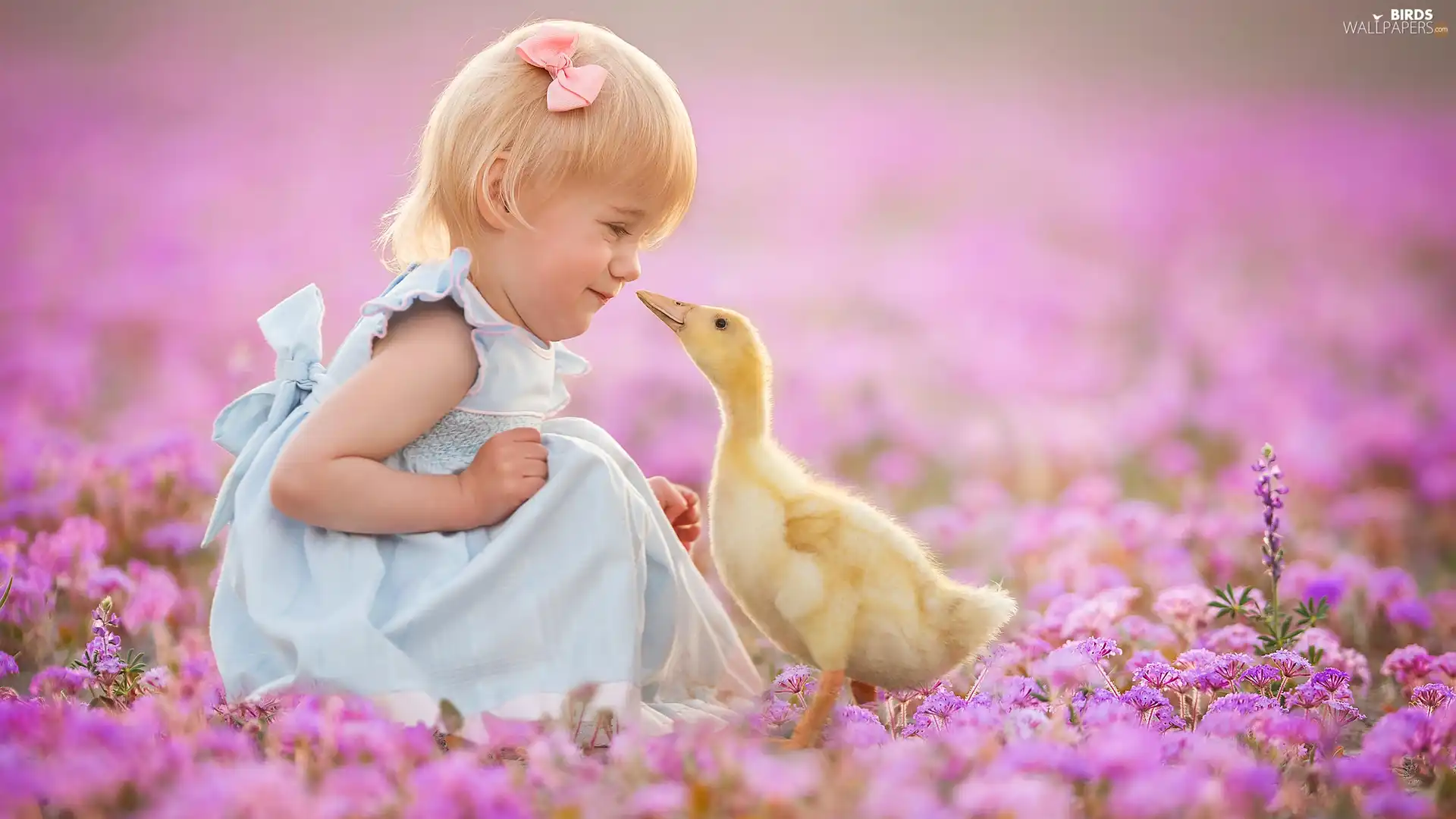 Flowers, Ducky, Meadow, Pink, girl