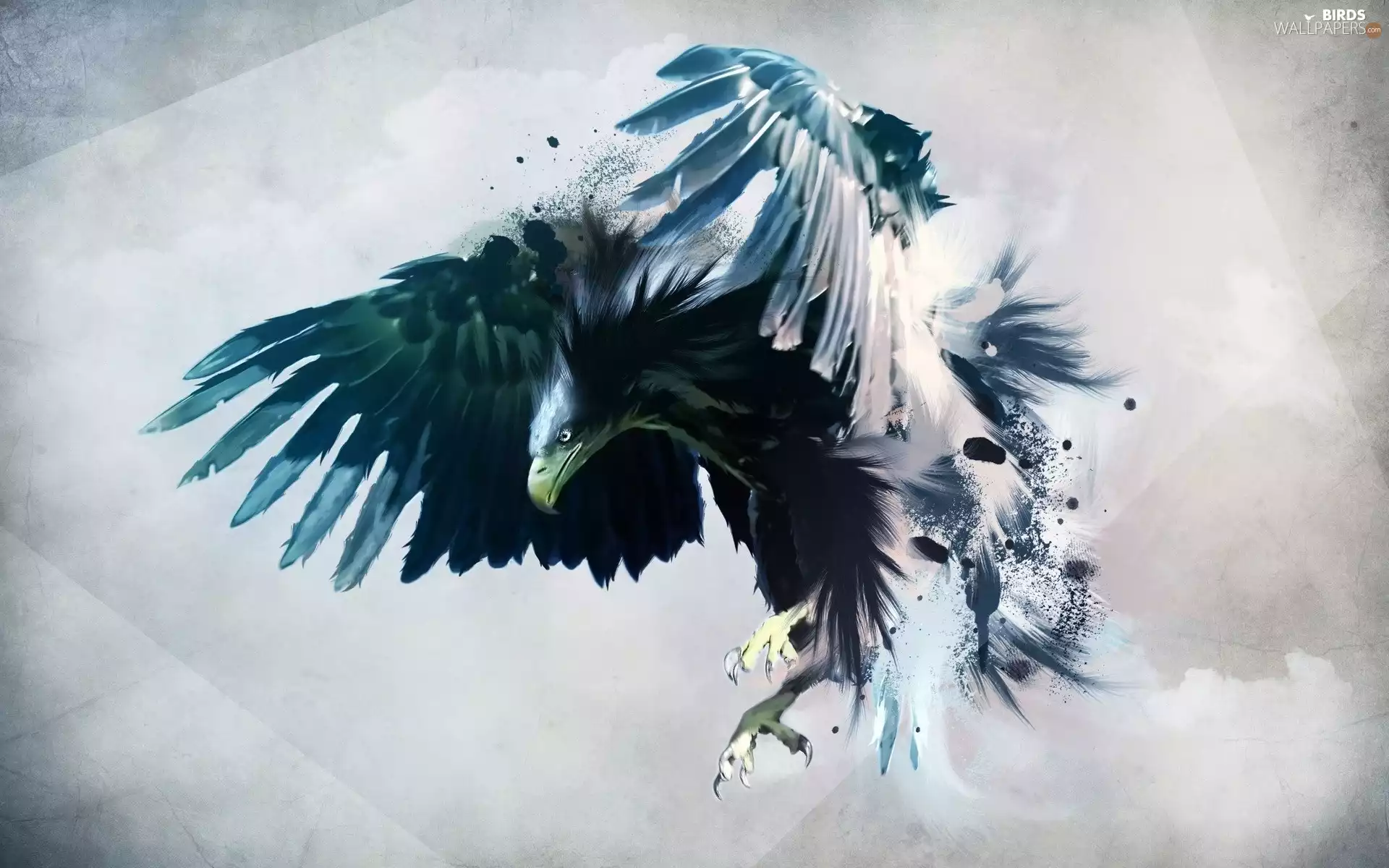 eagle, graphics