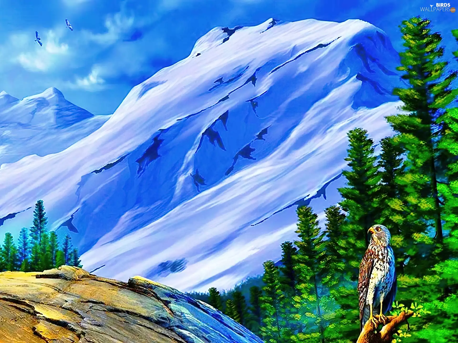 eagle, Mountains, winter