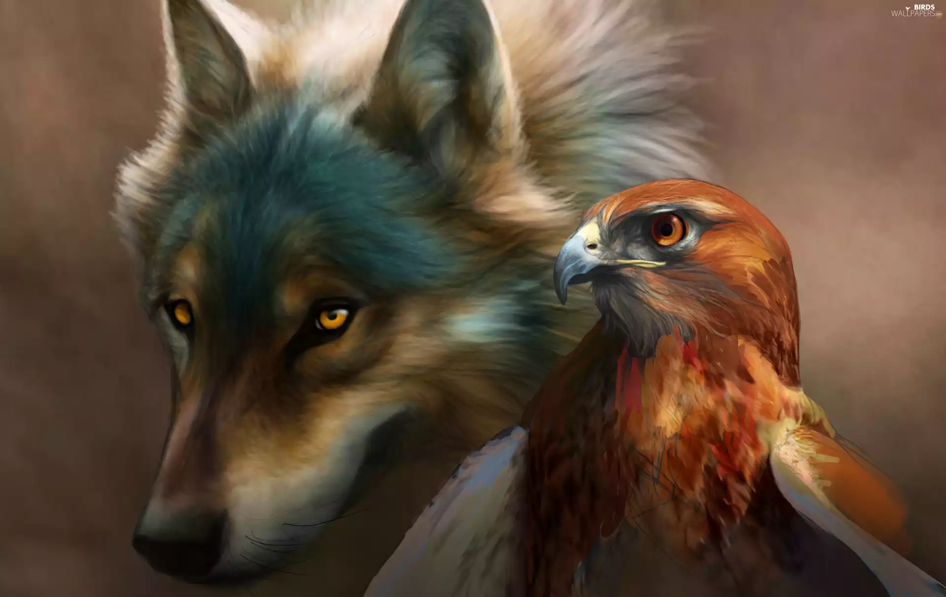Eagle Front, Wolf