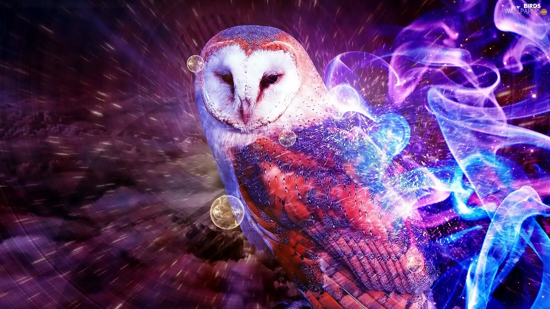 effects, owl, snow