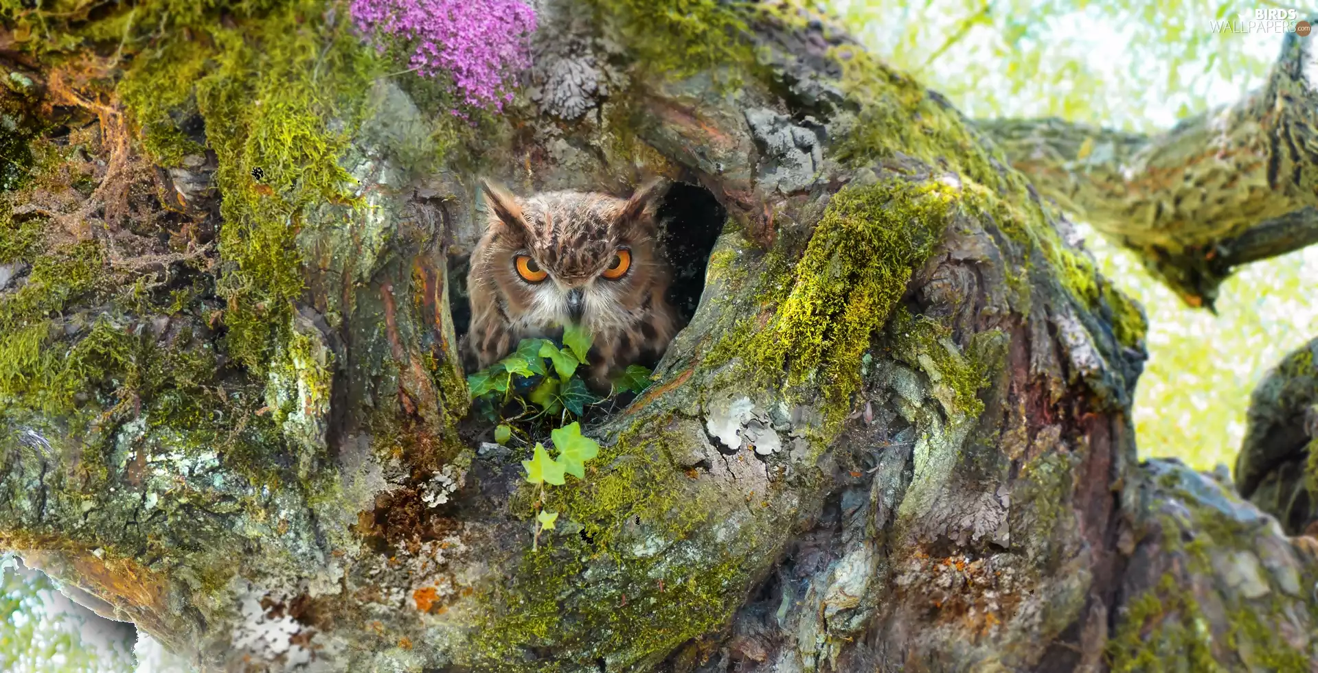 owl, trees, hollow, Eurasian Eagle-Owl