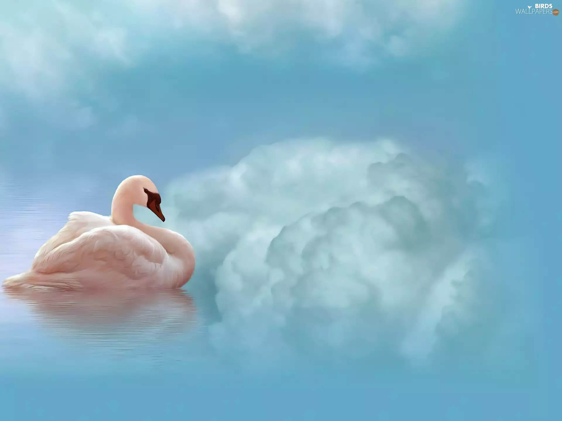 Fantasy, Swans, clouds