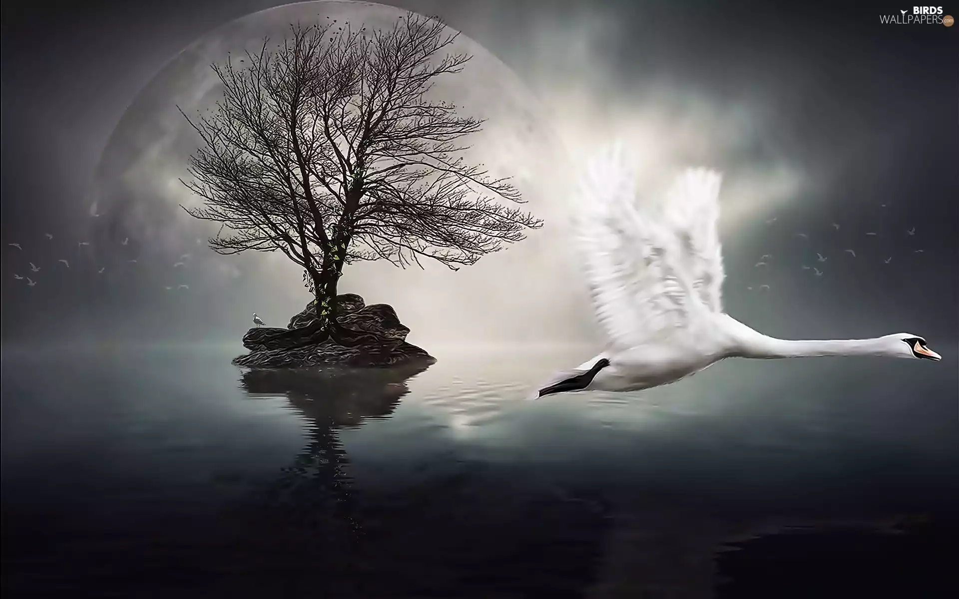 Island, Swans, water, fantasy, trees, gulls