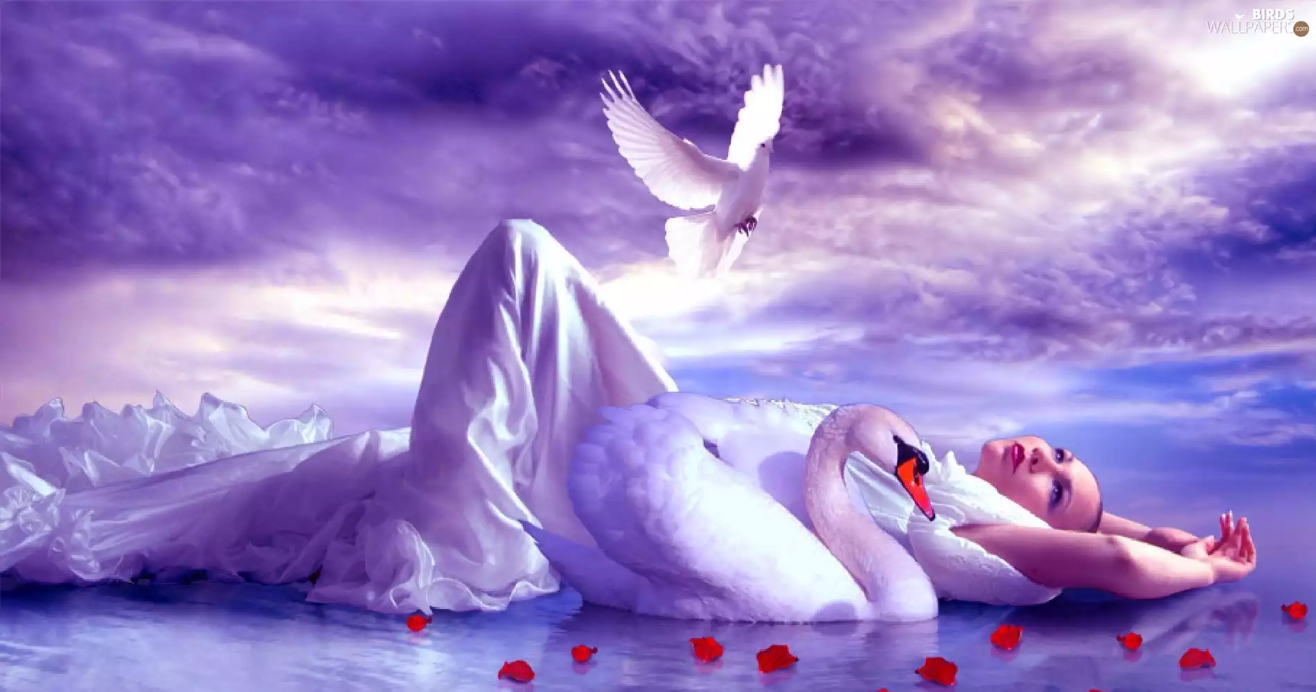 swan, fantasy, White, Dress, Women