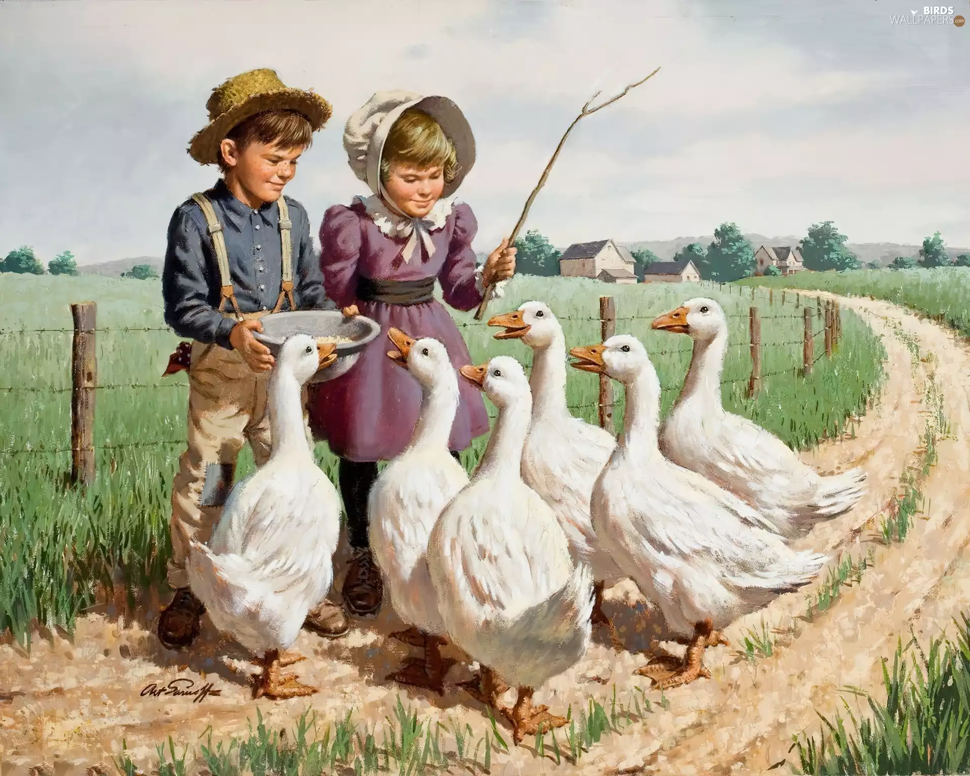 Way, Field, girl, geese, boy