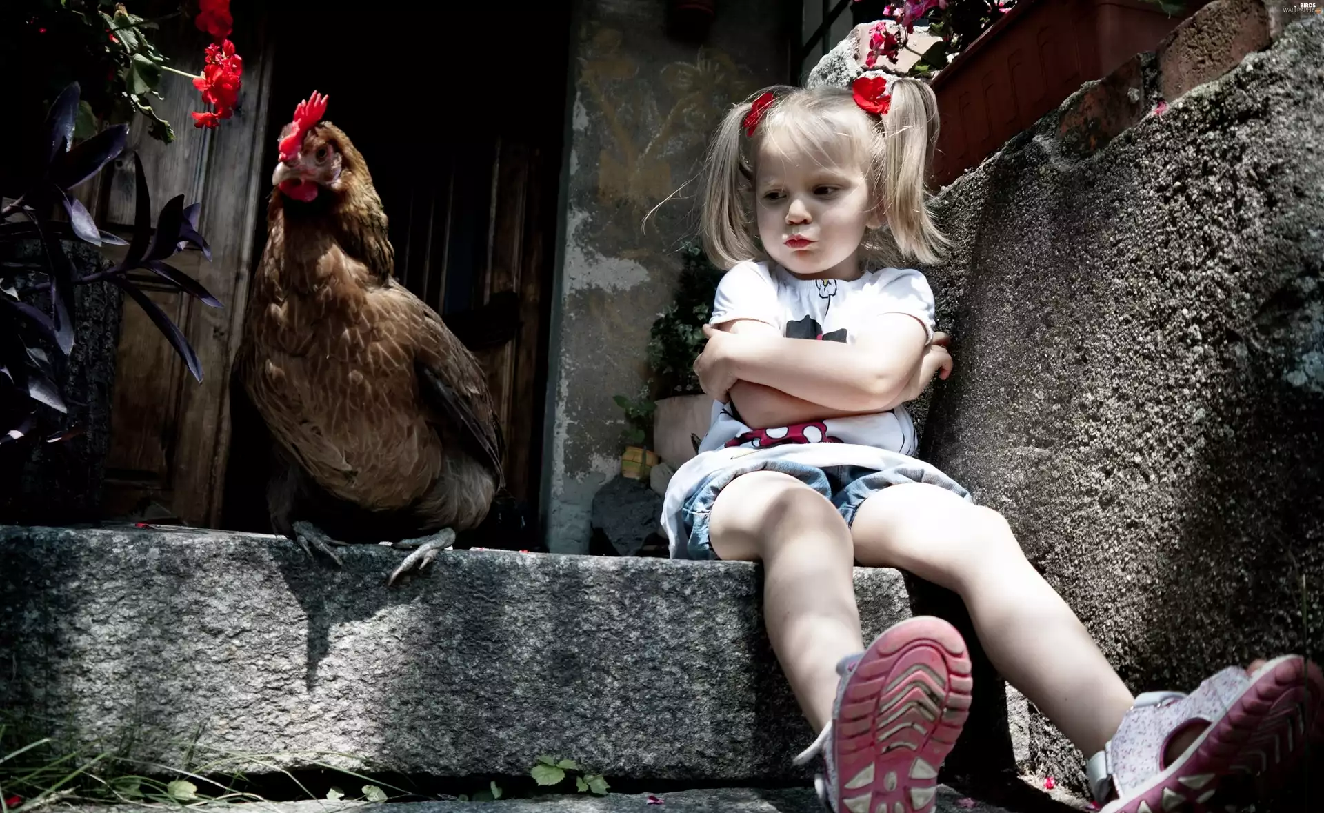 chicken, Flower, Kid, girl, Offended