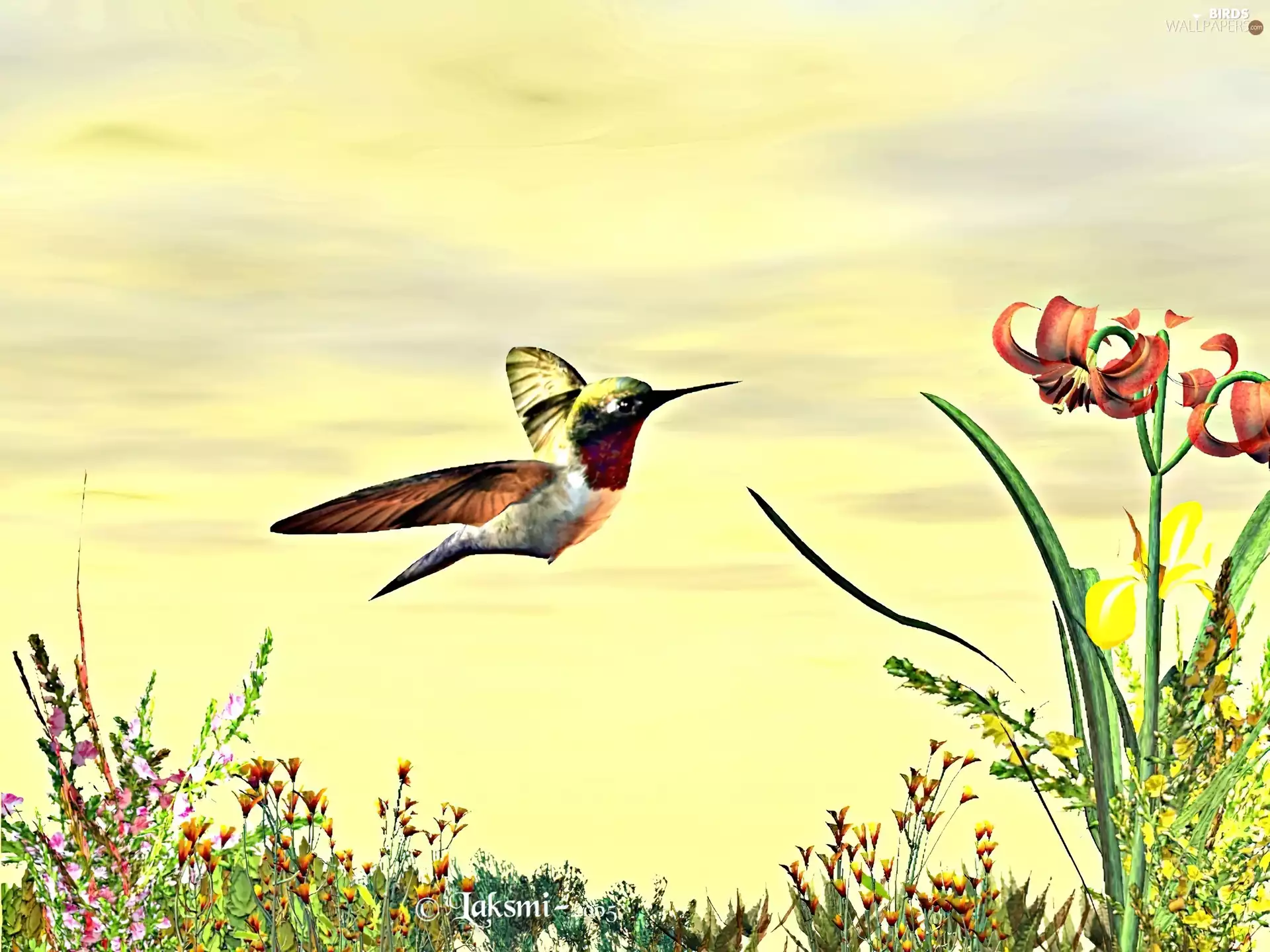 3D, humming-bird, Flowers