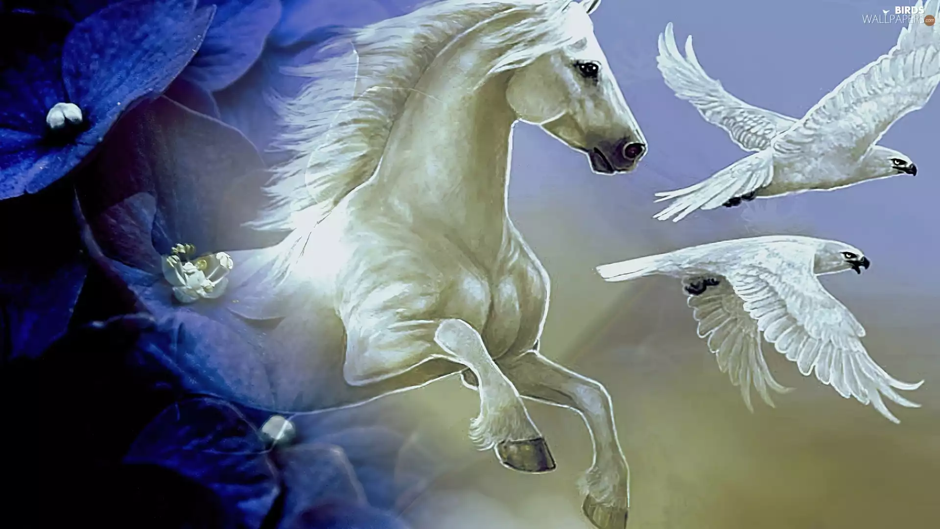 Eagles, Flowers, birds, White, Horse
