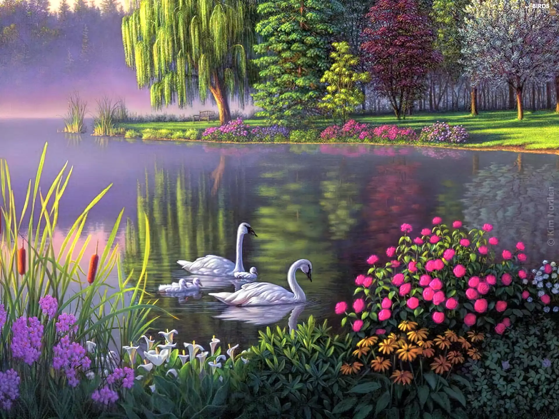Flowers, lake, Swan