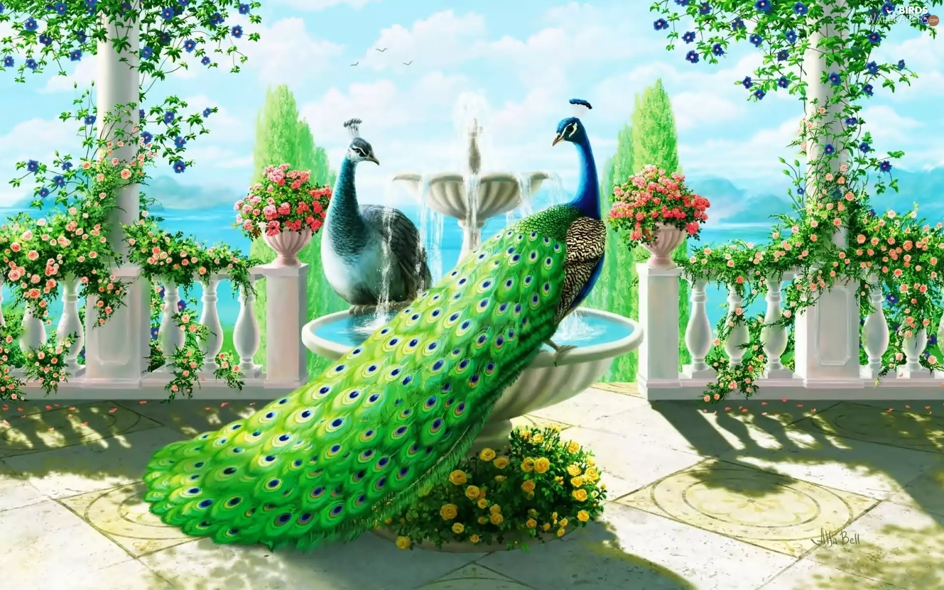 terrace, peacock, roses, fountain, Beauty, Climbing, sea