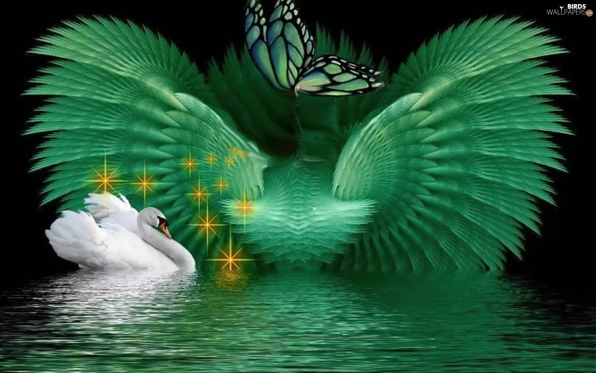 Fraktal, Swans, butterfly