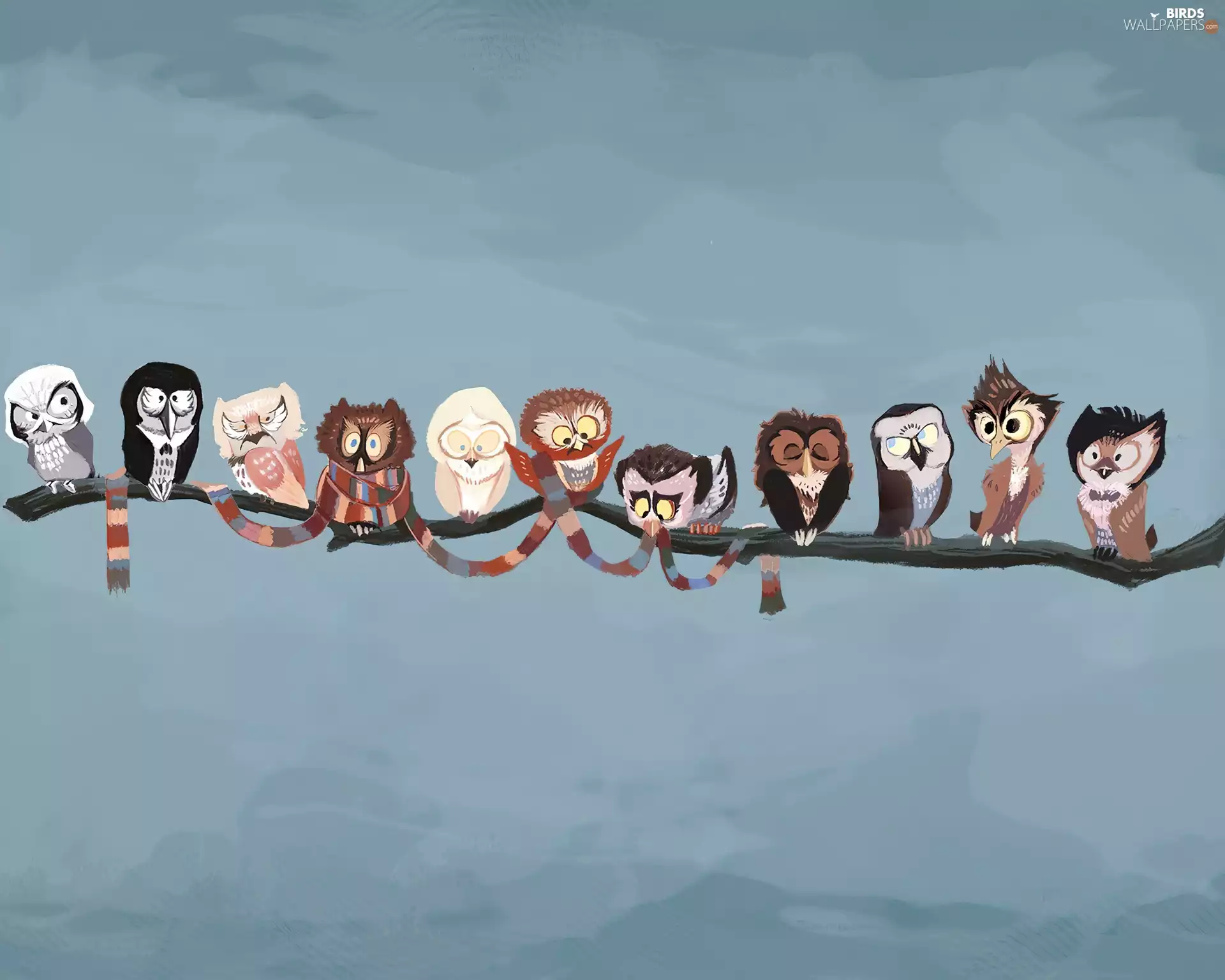 different, Owls, branch, Funny