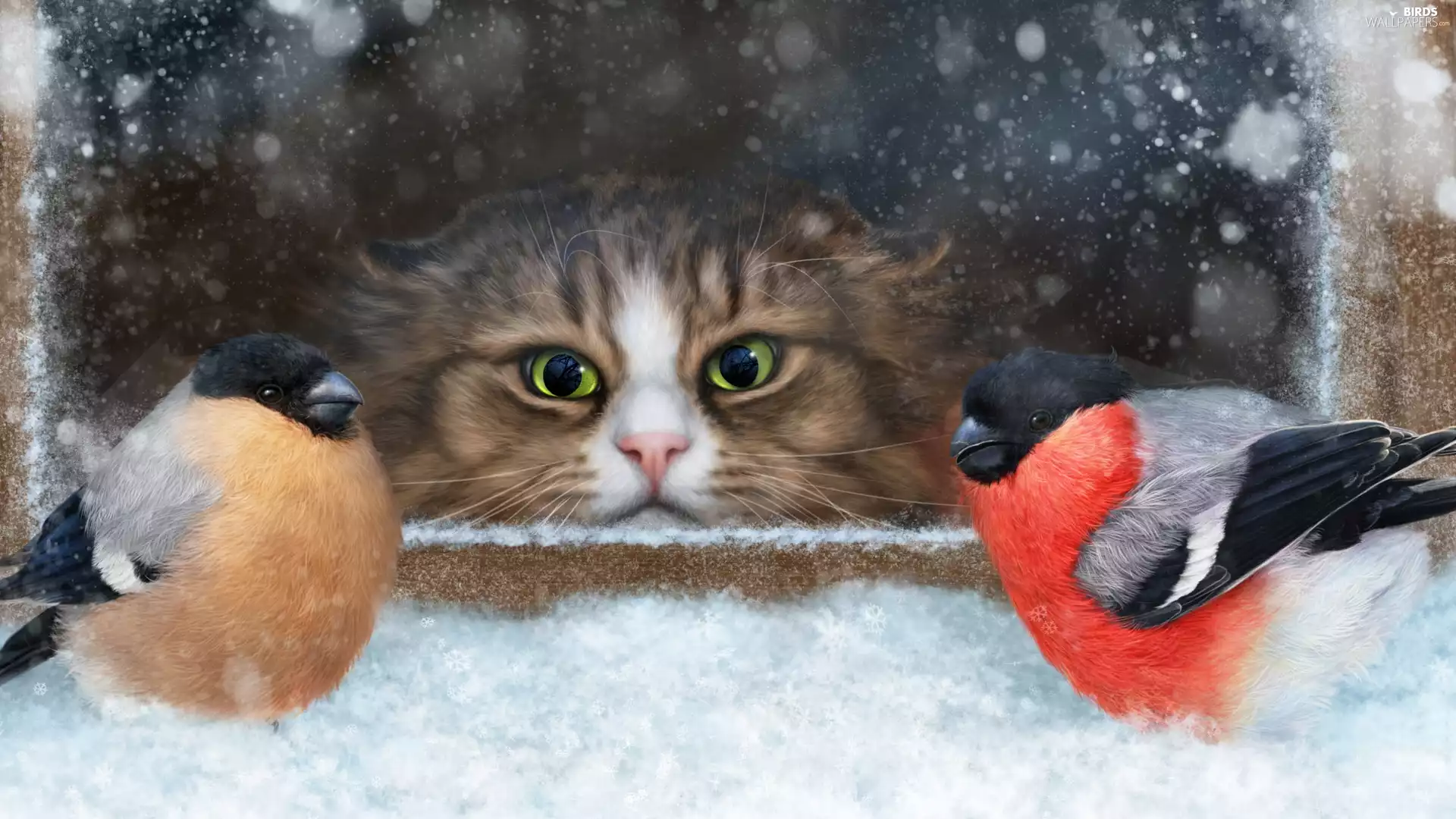 parapet, winter, birds, Gile, cat, Window