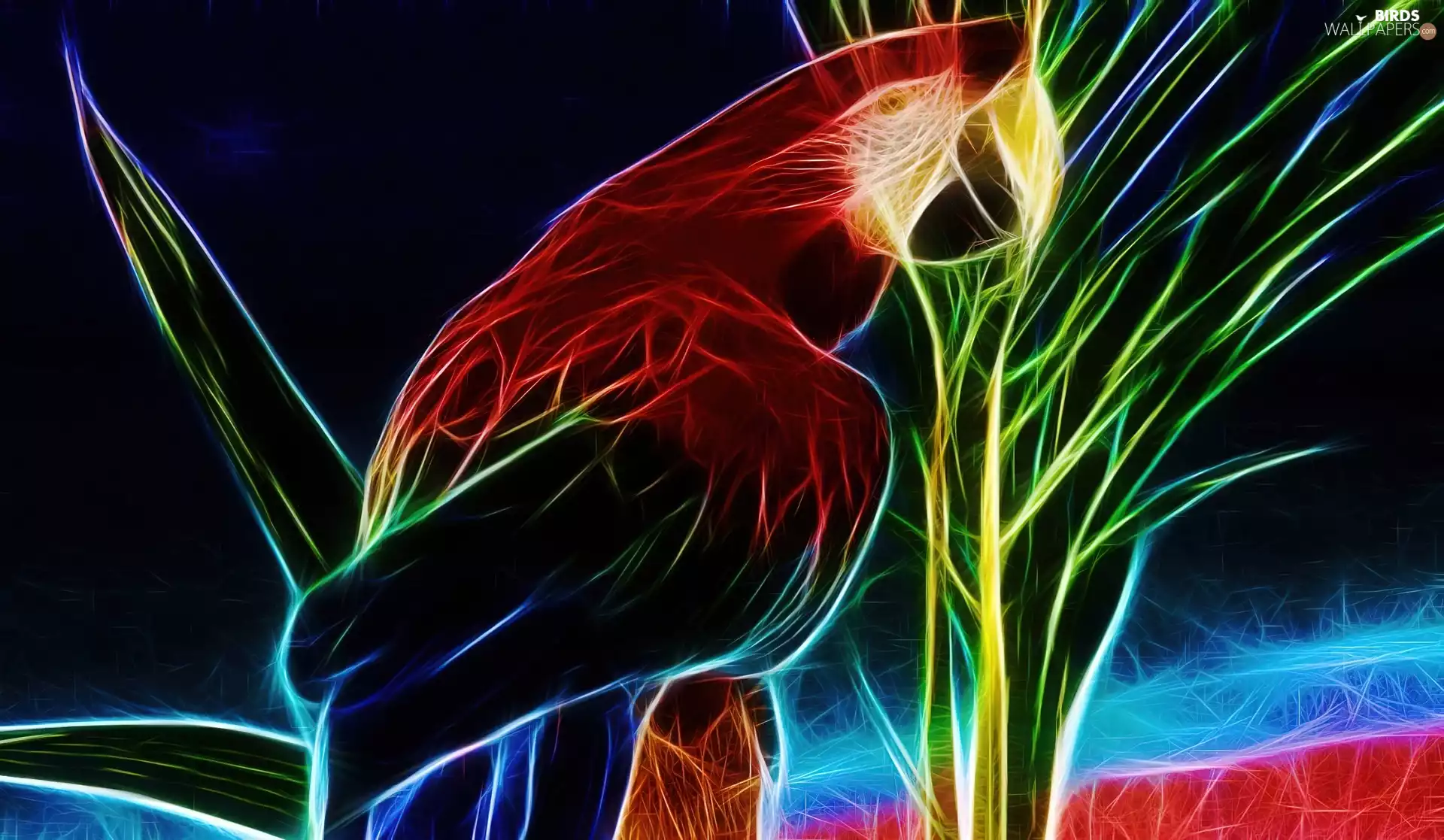 graphics, parrot, ara